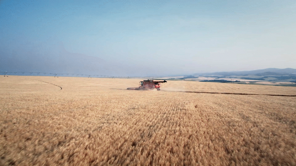 210624_AB_Quality_30_16x9_FINISH_AdobeExpress.gif