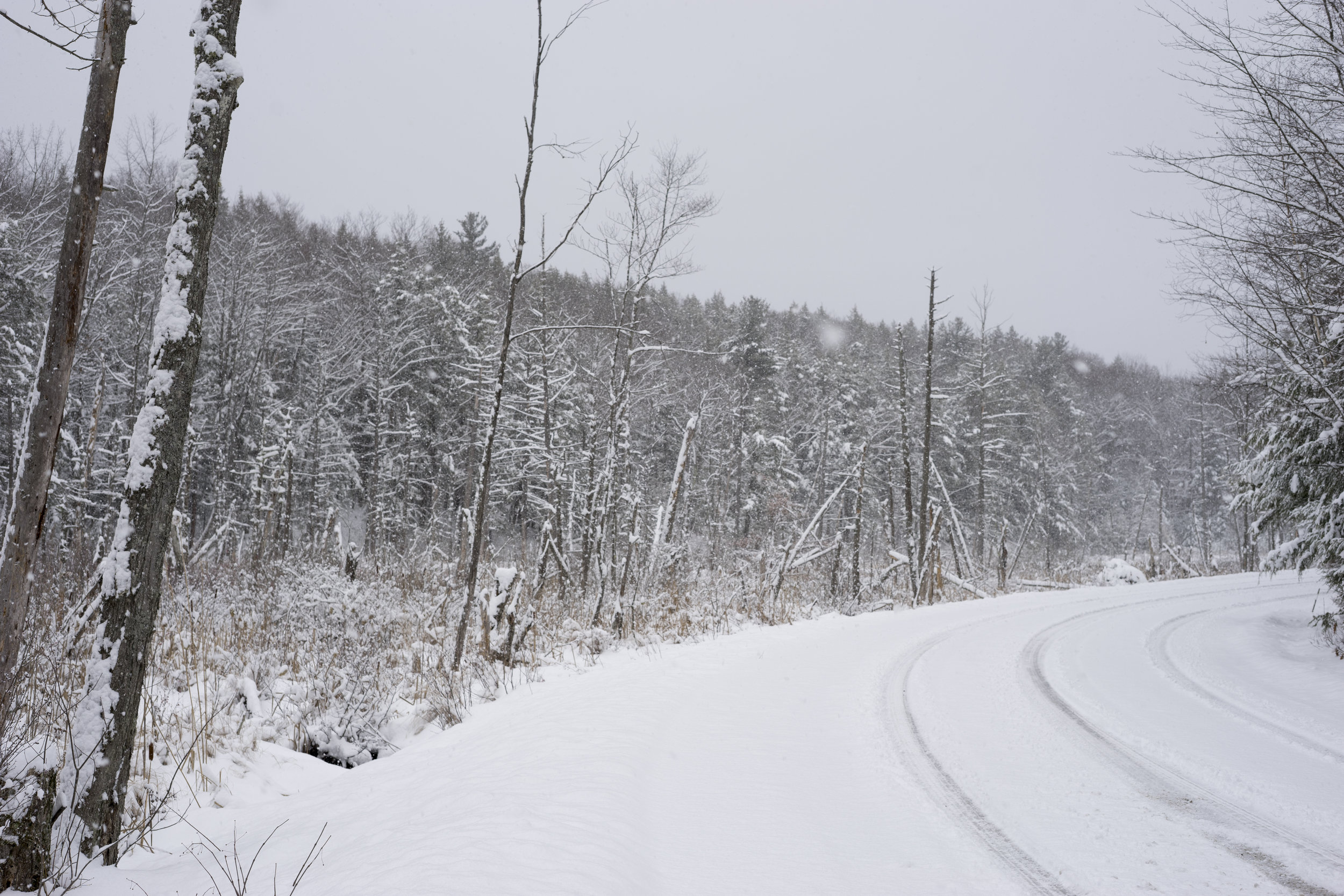 Trace your finger in the snow #1