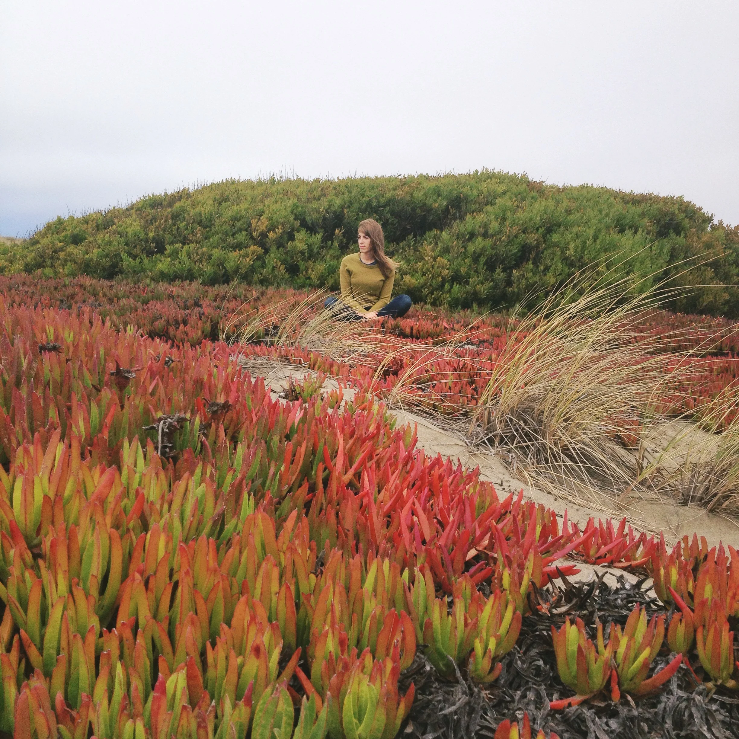 2013-10-18 08.09.14.jpg