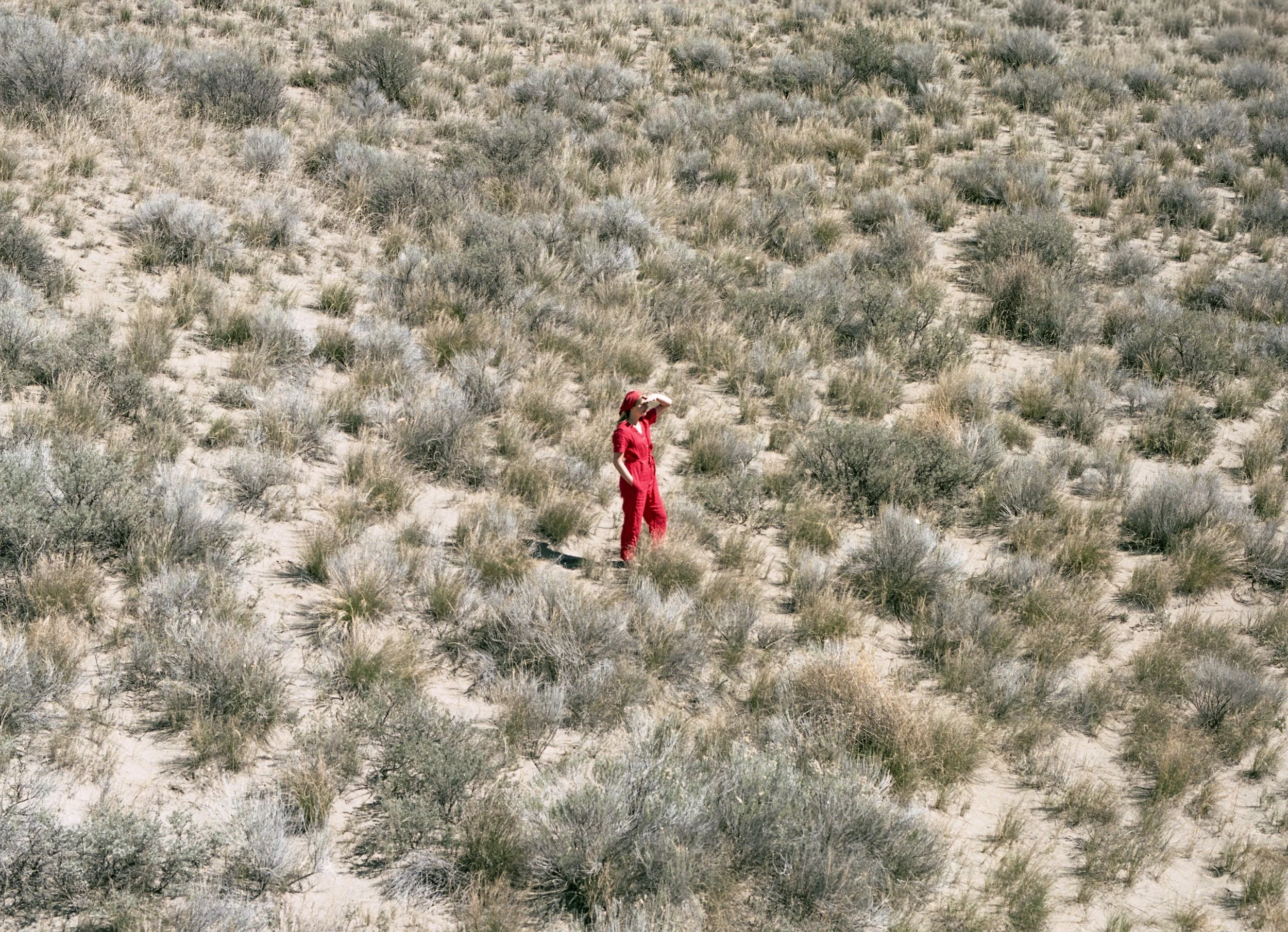 Sarah Tumbleweeds-FILM.jpg