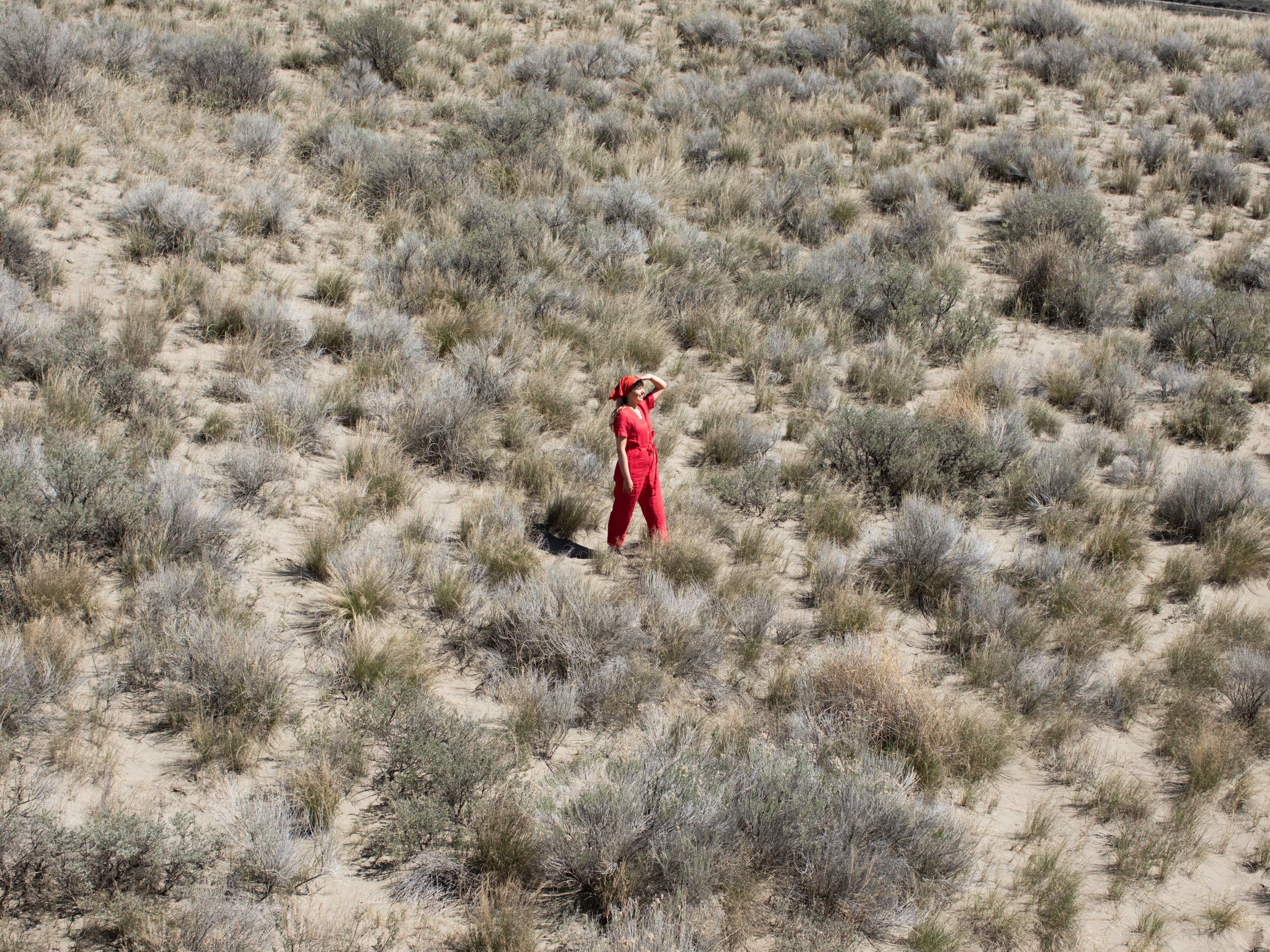 Sarah Tumbleweeds-1.jpg