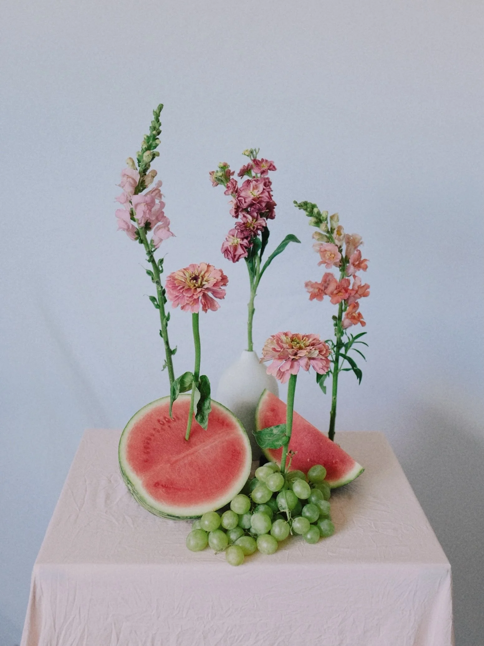 citrullus lanatus, vitis vinifera, zinnia elegans + antirrhinum majus

#fuji #botanicalphotography #stilllifeart #fineartphotography #stilllifephotography