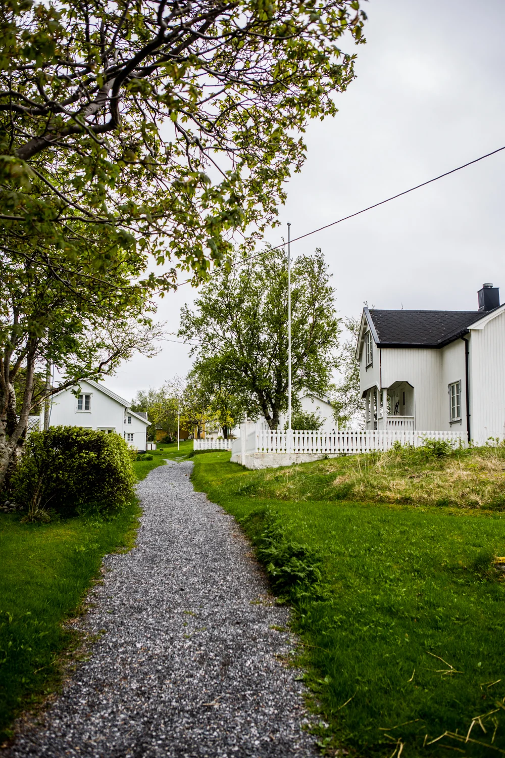 240516_fausko_lofotentravels_sørfugleøya_landskap_dokumentar-6.jpg