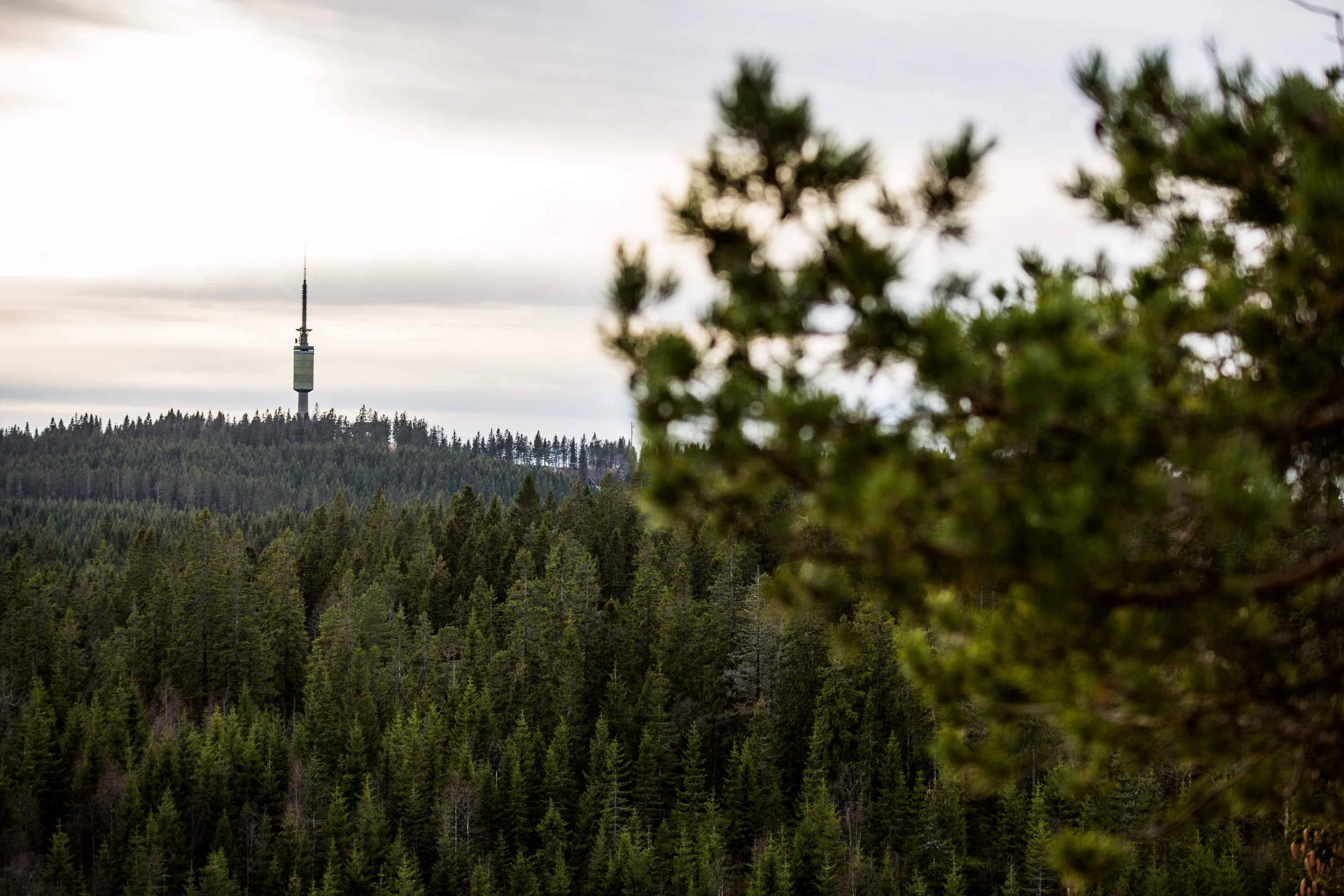 081115_fausko_oslo_skjennungstua_tryvannstårnet_landskap.jpg
