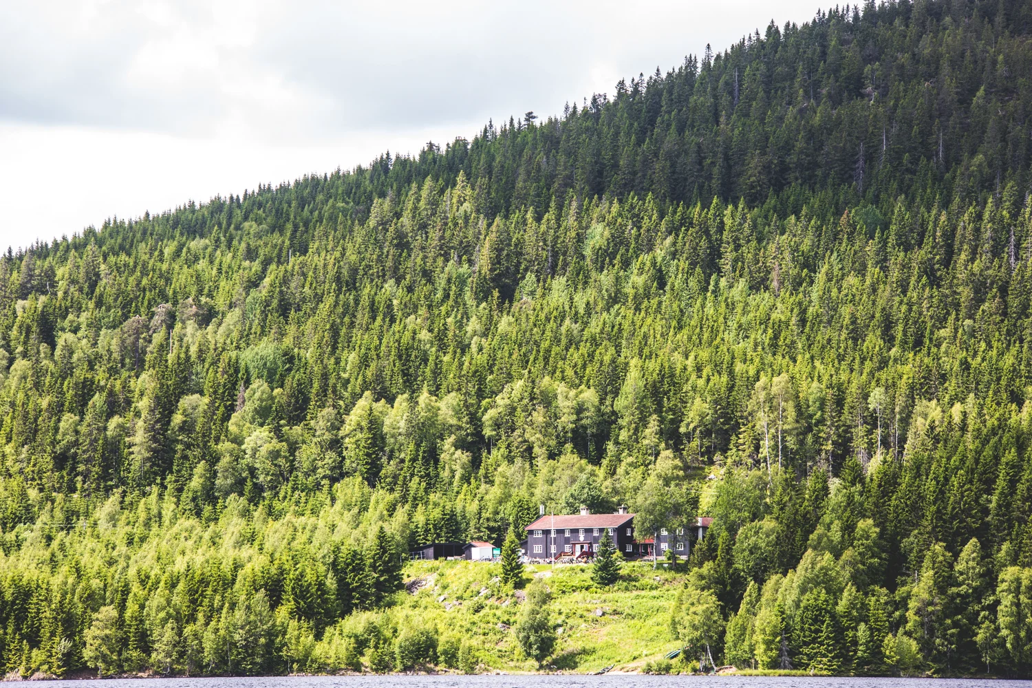 240617_fausko_oslo_nordmarka_kanotur_gustav_landskap_portrett_dokumentar-23.jpg