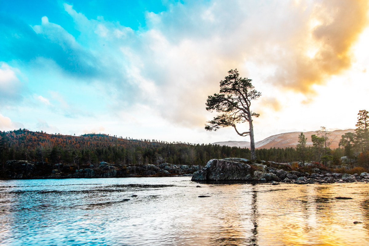 200918_fausko_hovden_høst_otraelven_solnedgang_landskap-2.jpg