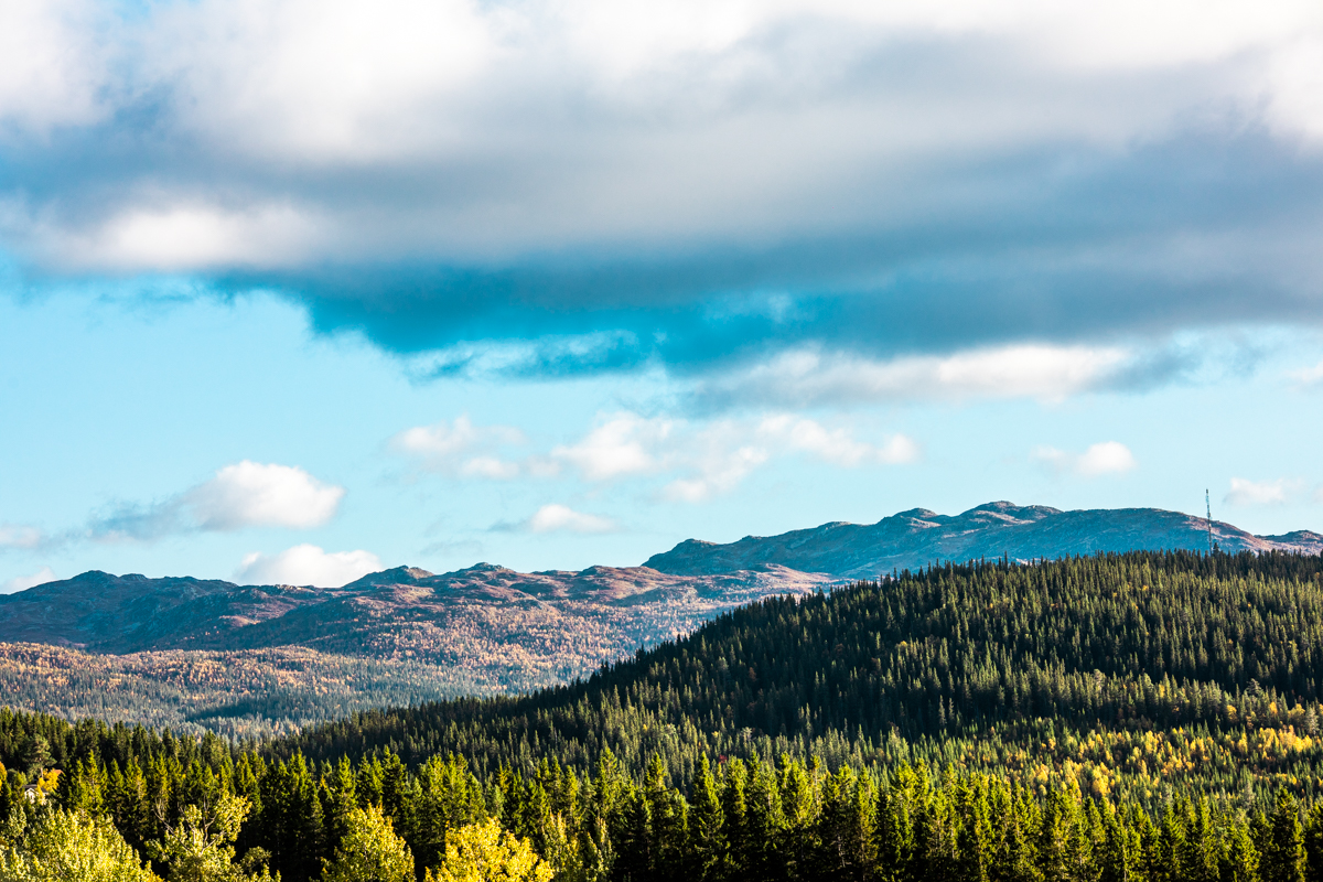 240918_fausko_rauland_høst_goldenhour_landskap-2.jpg