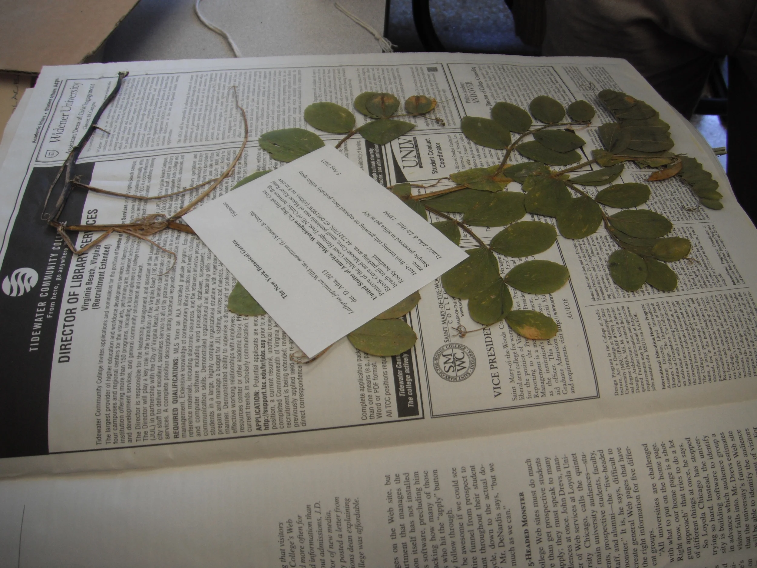 Specimen and label