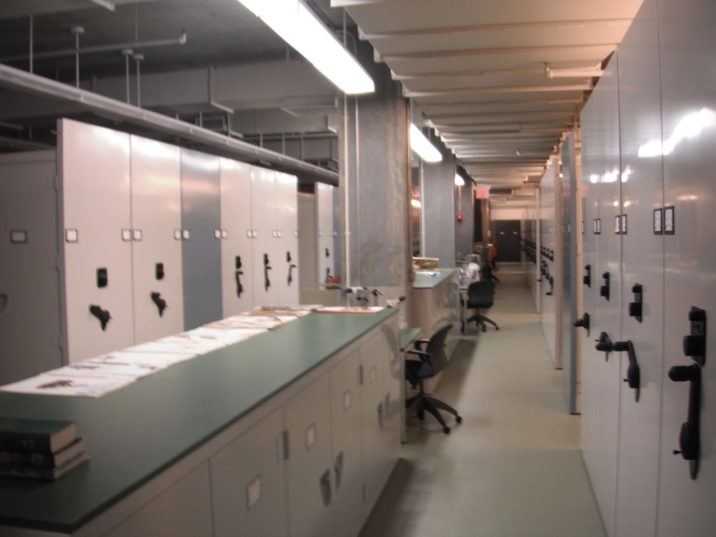 The herbarium