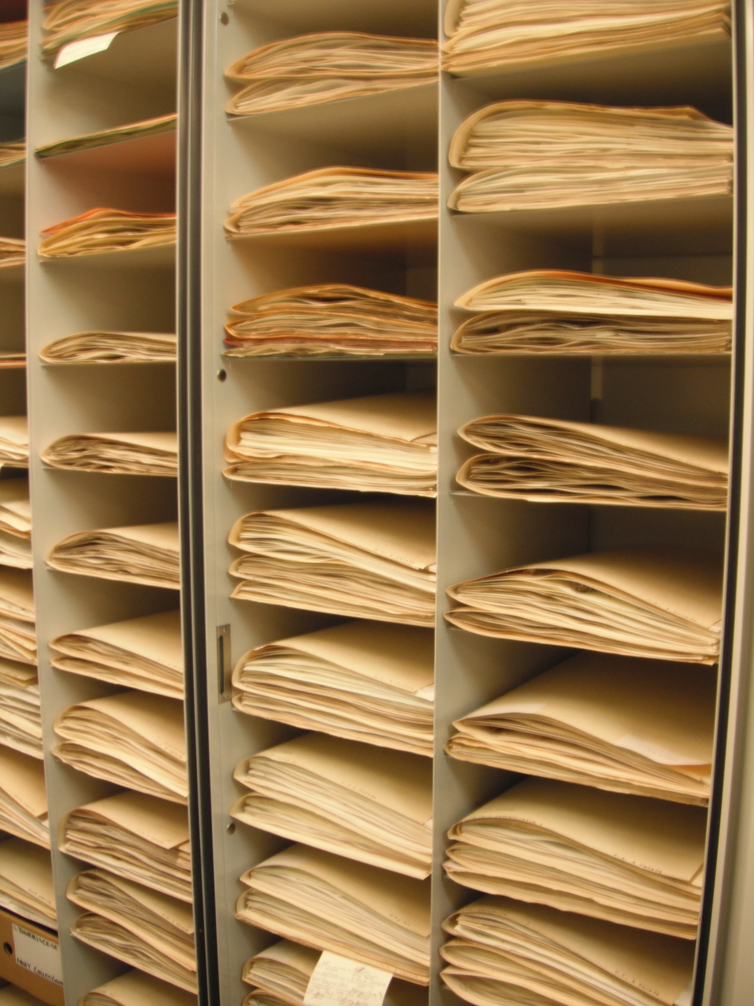 Specimens filed by family and genus