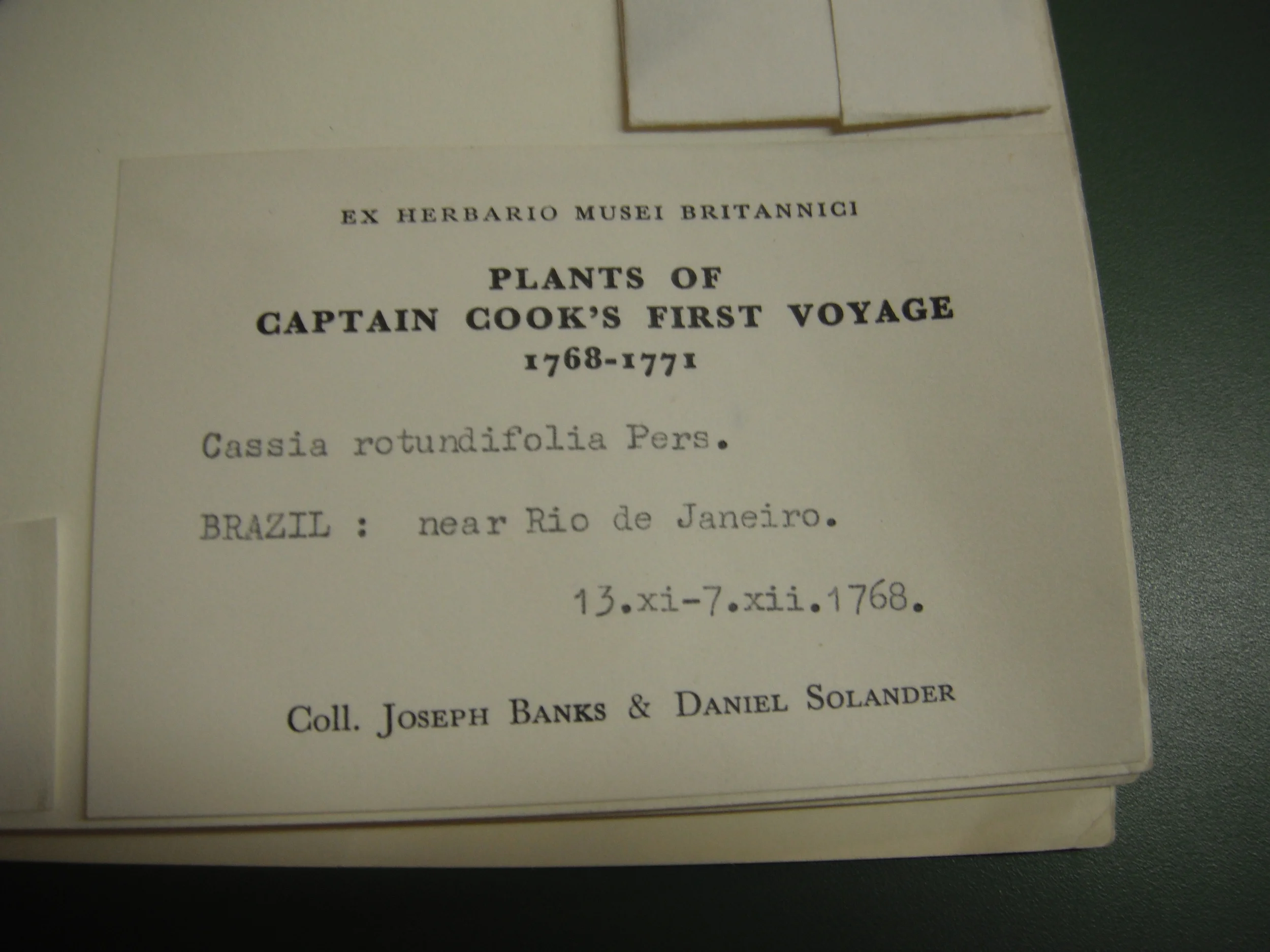 Specimen from Captain Cook's voyage