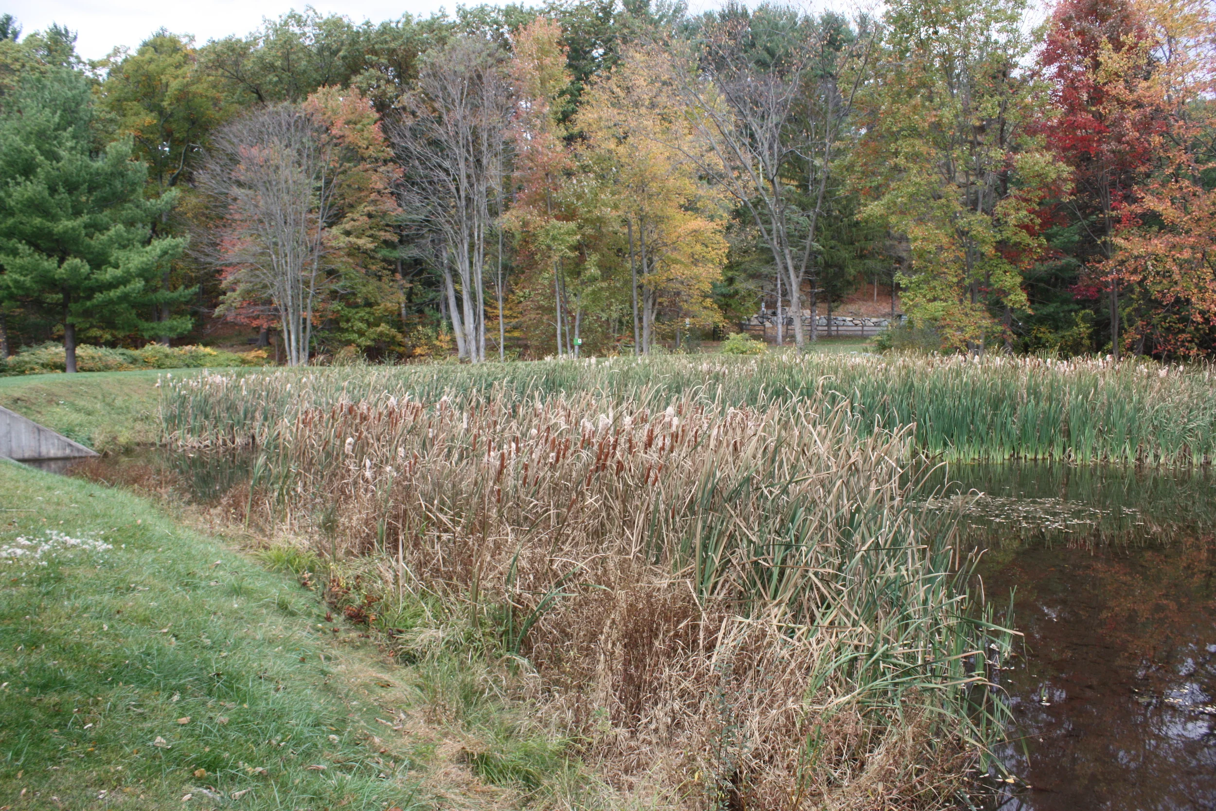 Kathryn Gorman Ponds Park in Montebello, Rockland County, New York.