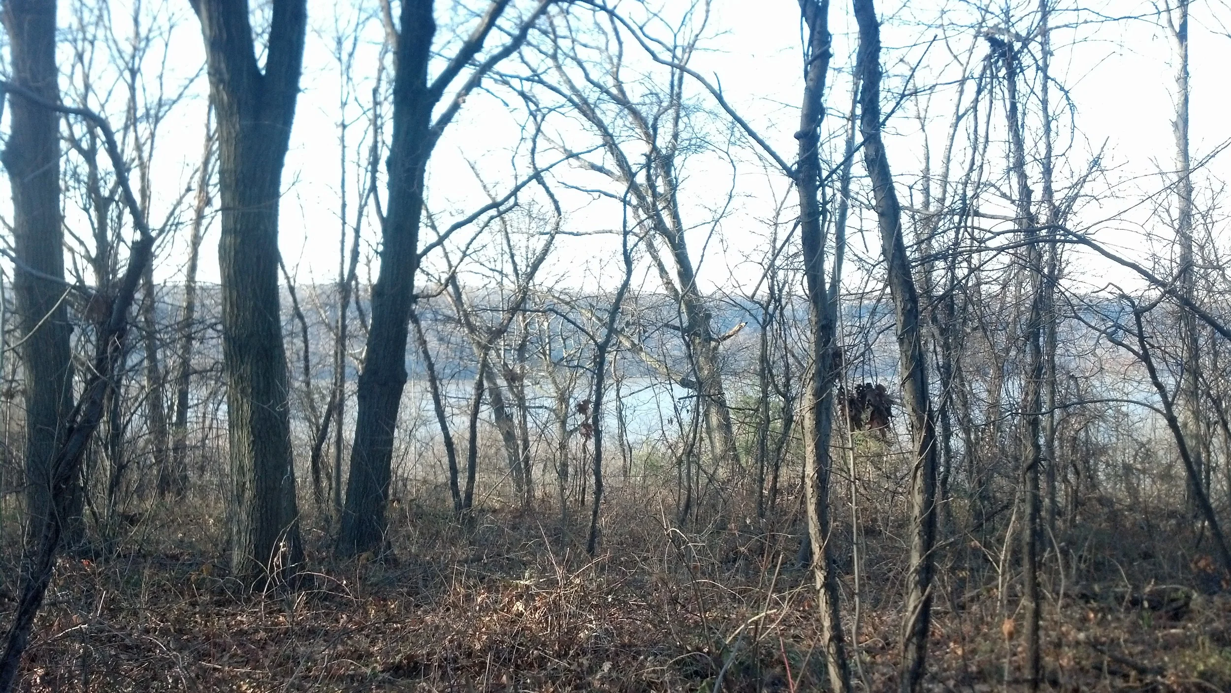 Hudson River and the Palisades