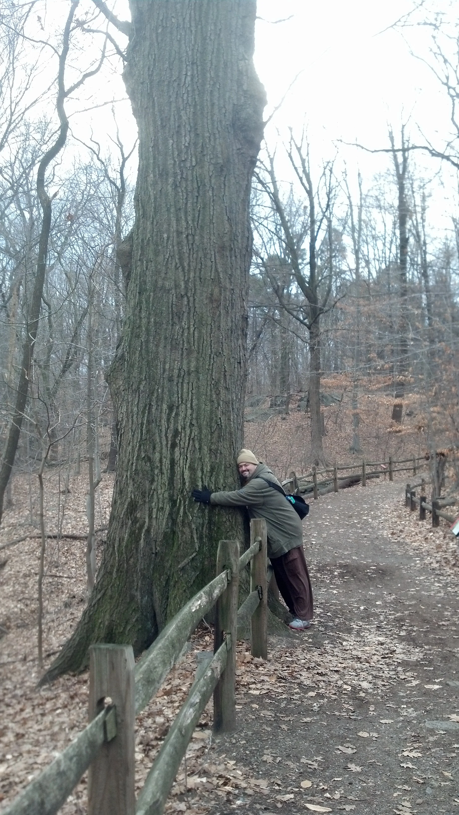 My cousin Fred Martinez, an enthusiastic tree hugger!