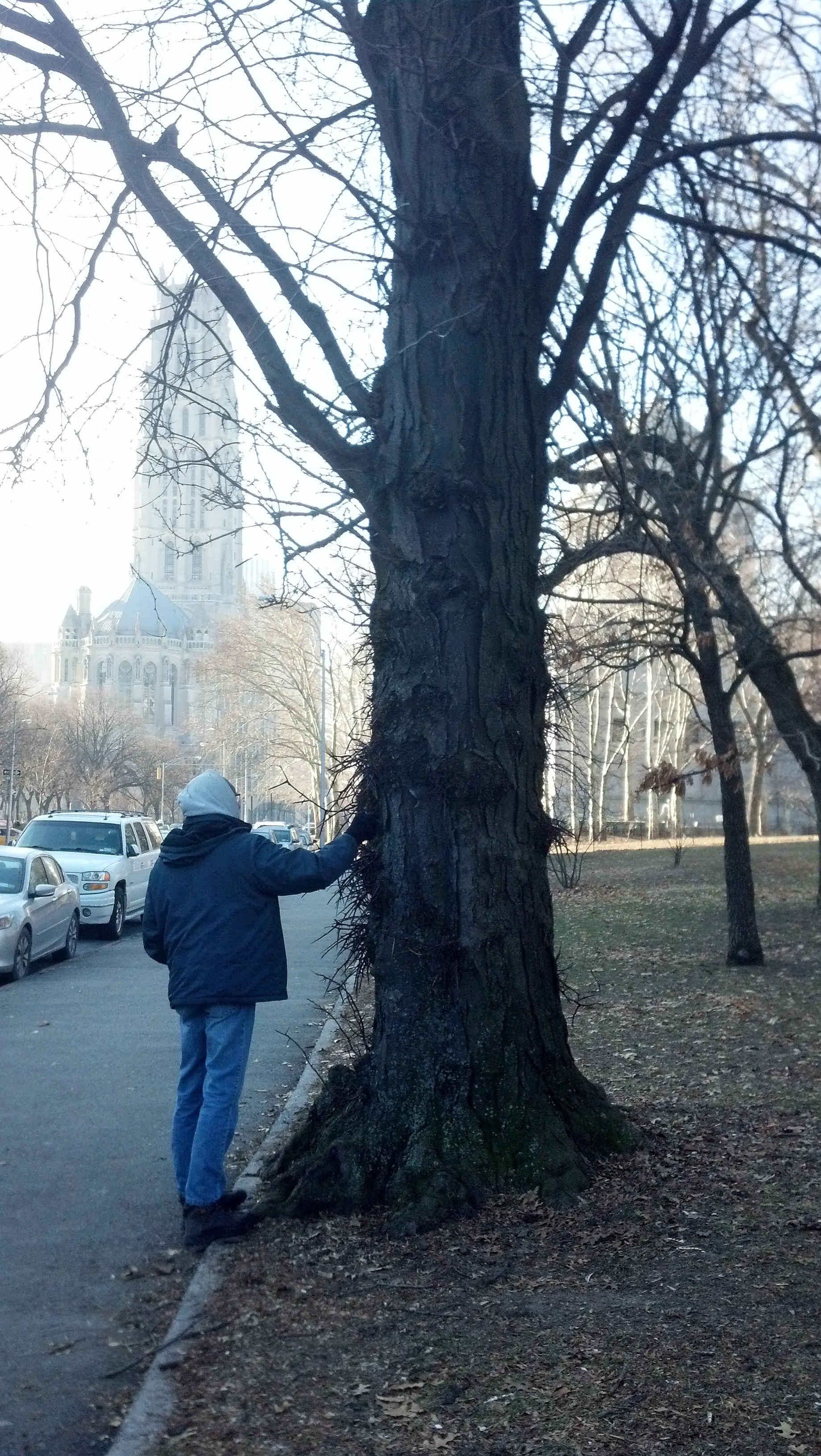 Cousin Matt and the honey locust (Riverside Church in the background)