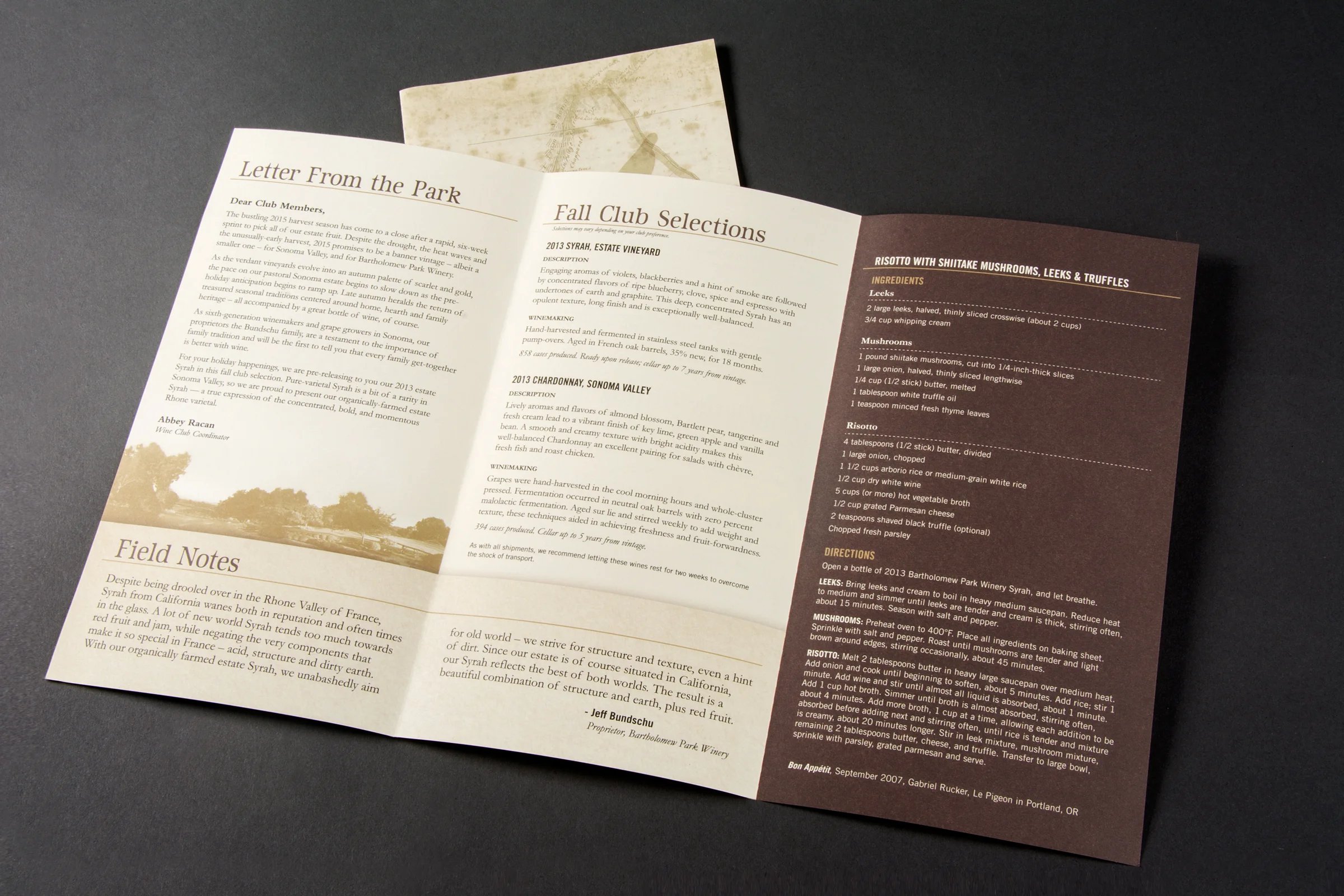 Newsletter02.jpg