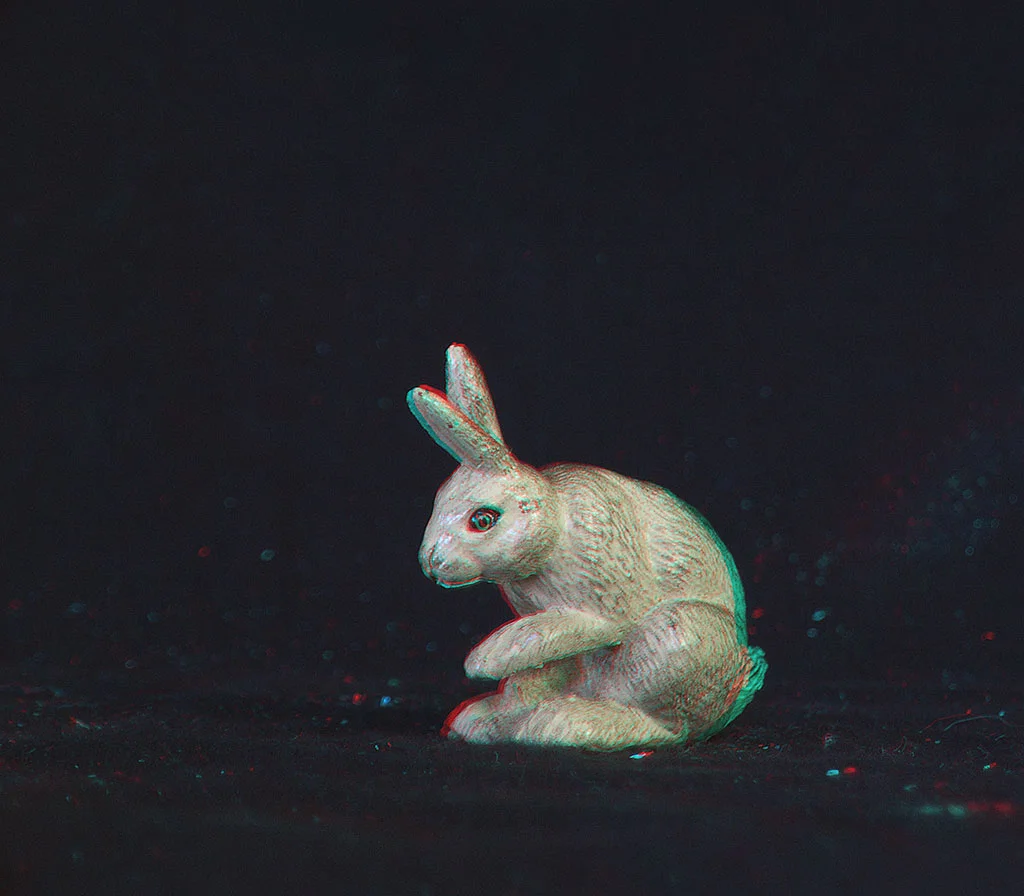 rabbit3.jpg