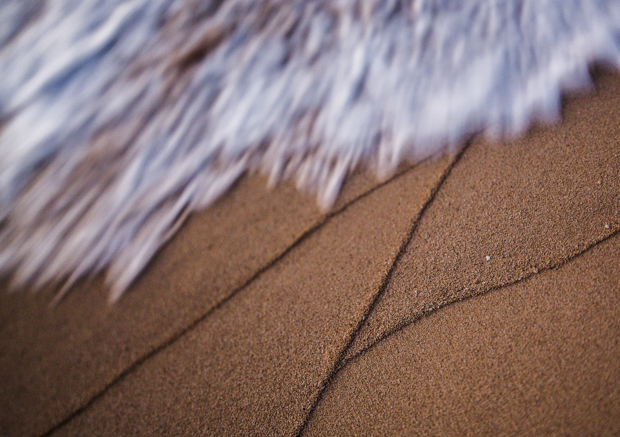 _MG_0103.jpg