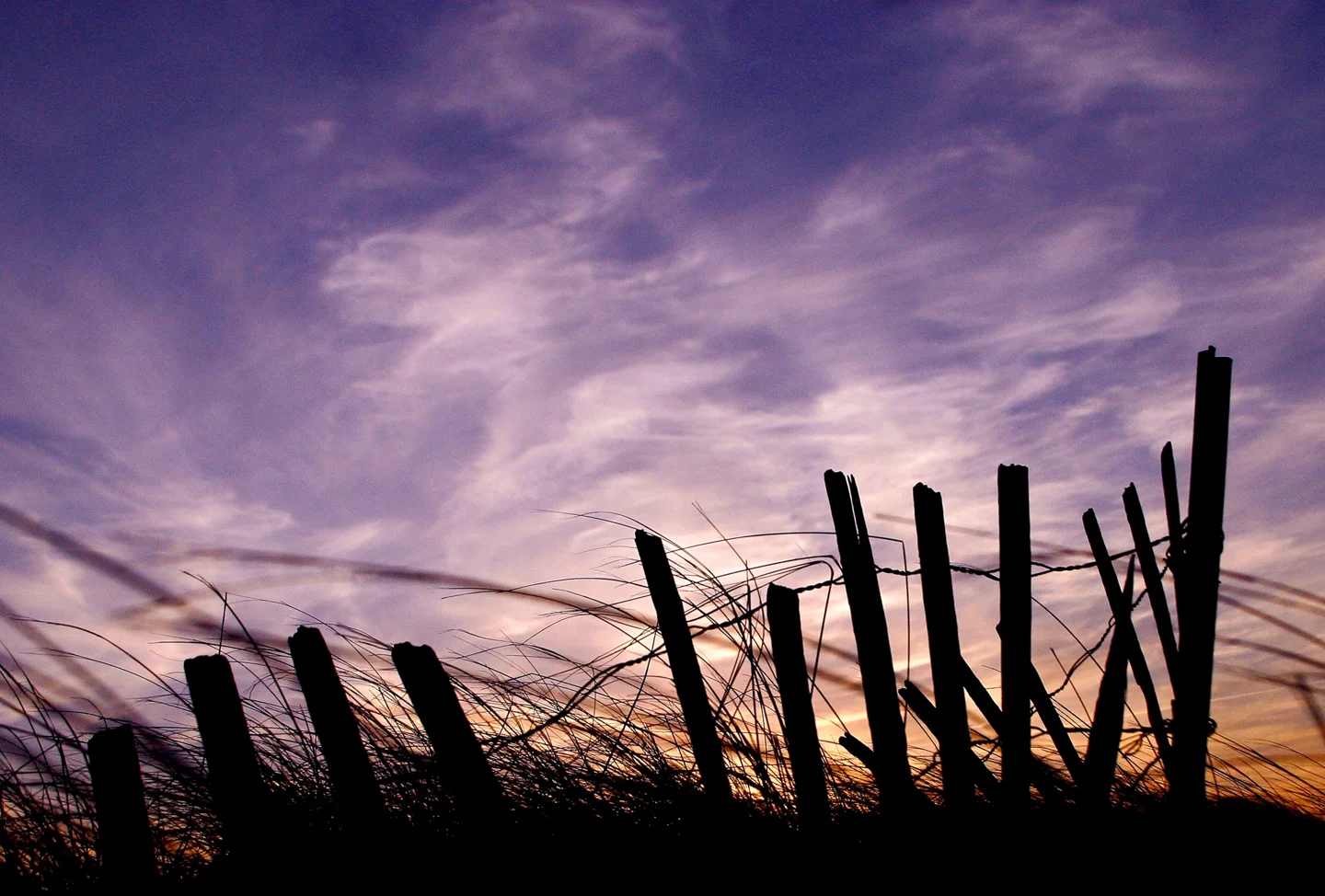 Beach Fence.jpg