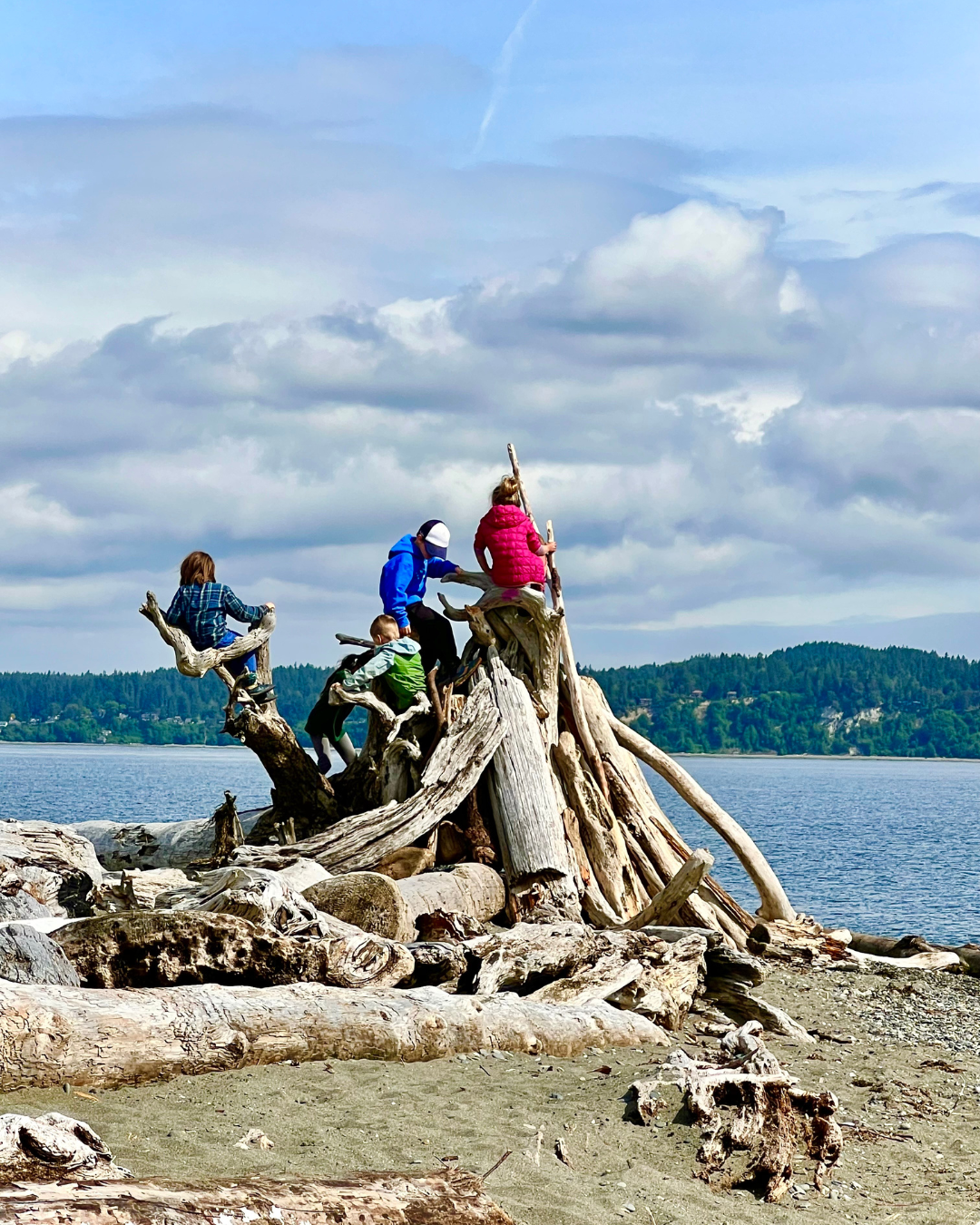 Children exploring their climbing skills on driftwood together.