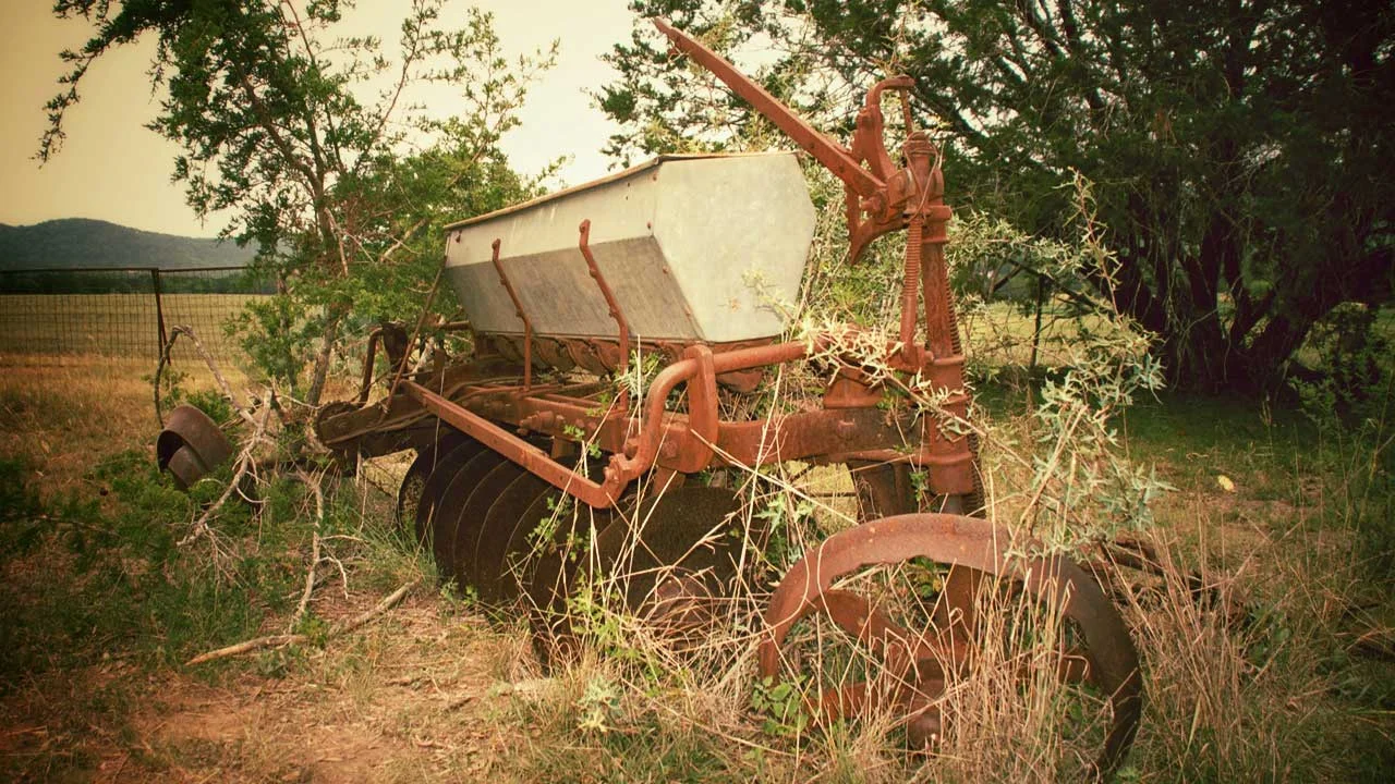 The Seed Bin of Dreams