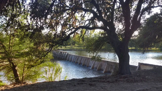Drought and Flood - a Father's Day Message
