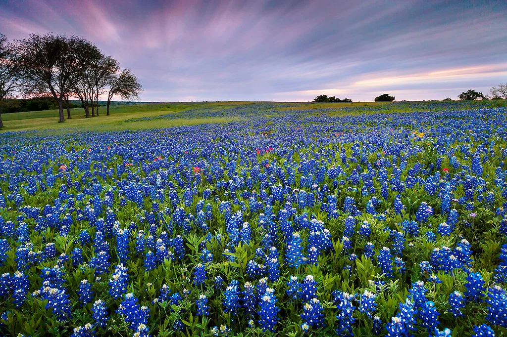 Final Call: Spring Men’s Retreat at the Links of Utopia—March 29-31