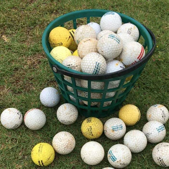 Rebirth after the Storm