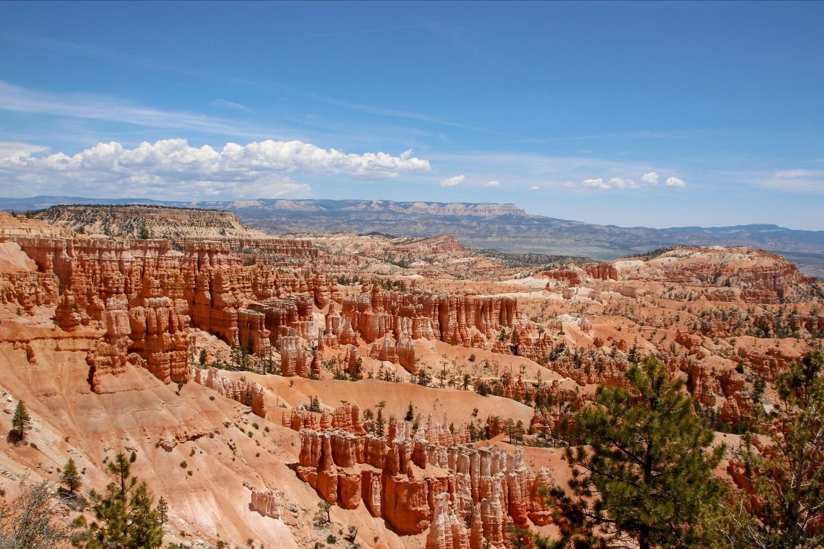 Raising greatness: Creating Awe Experiences