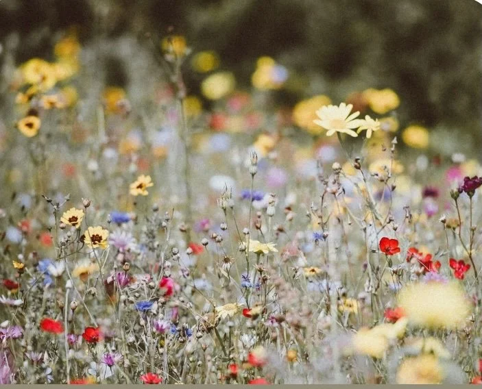 The Authenticity of Life