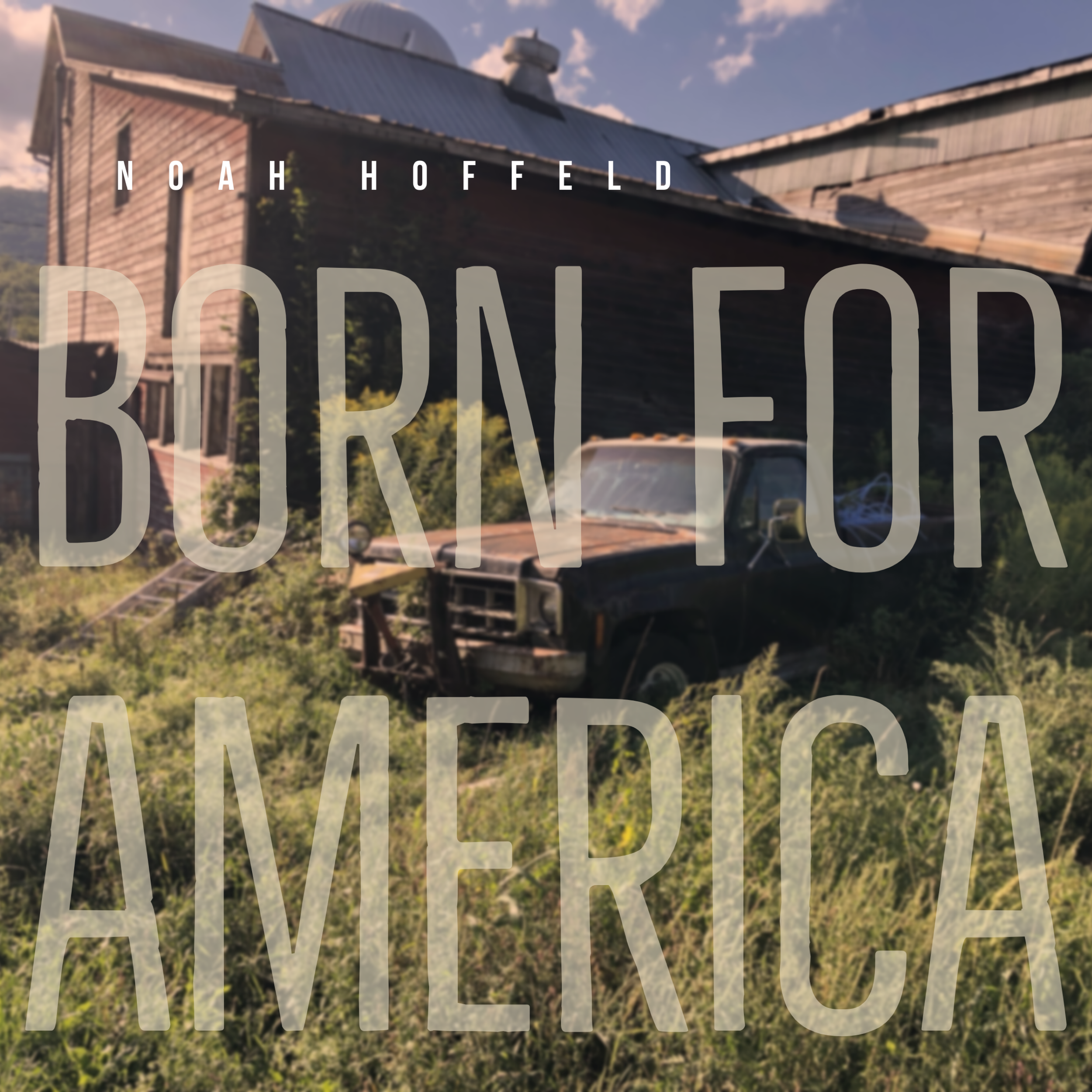 Born For America    Download