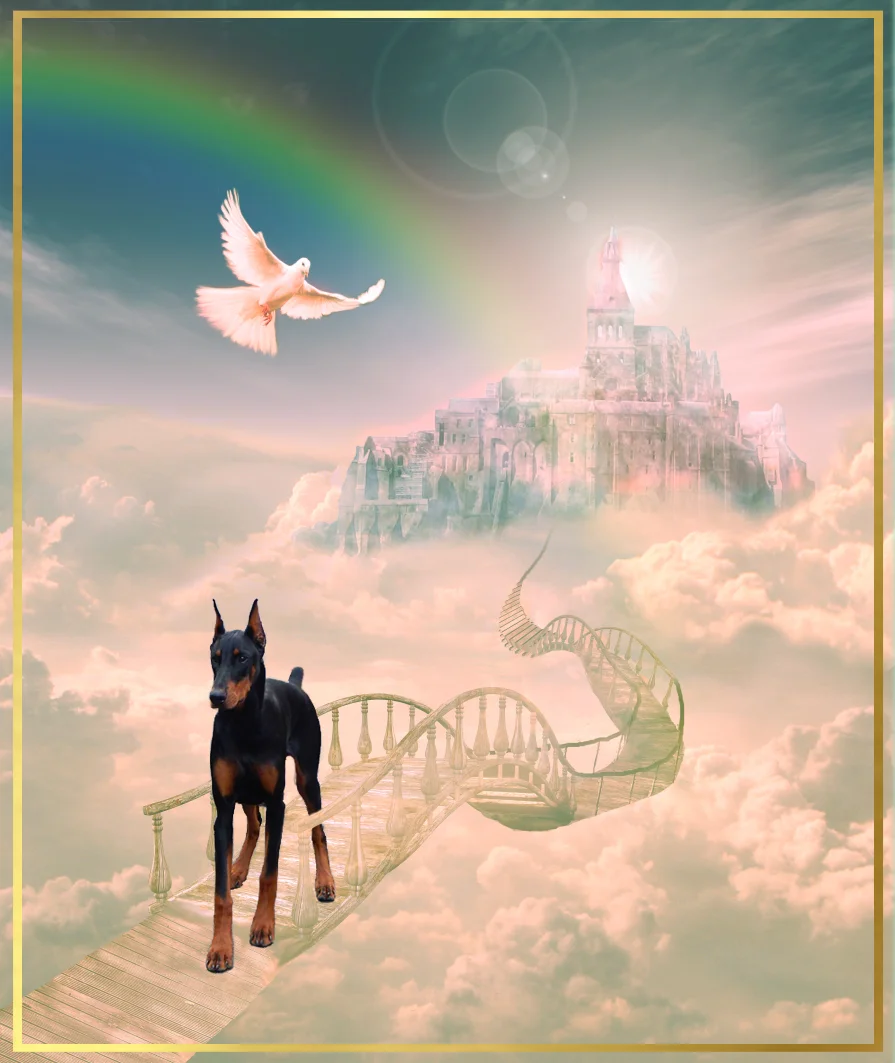 Prima's First Watch aka "Silas" .. original artwork by 00B00 at deviantart