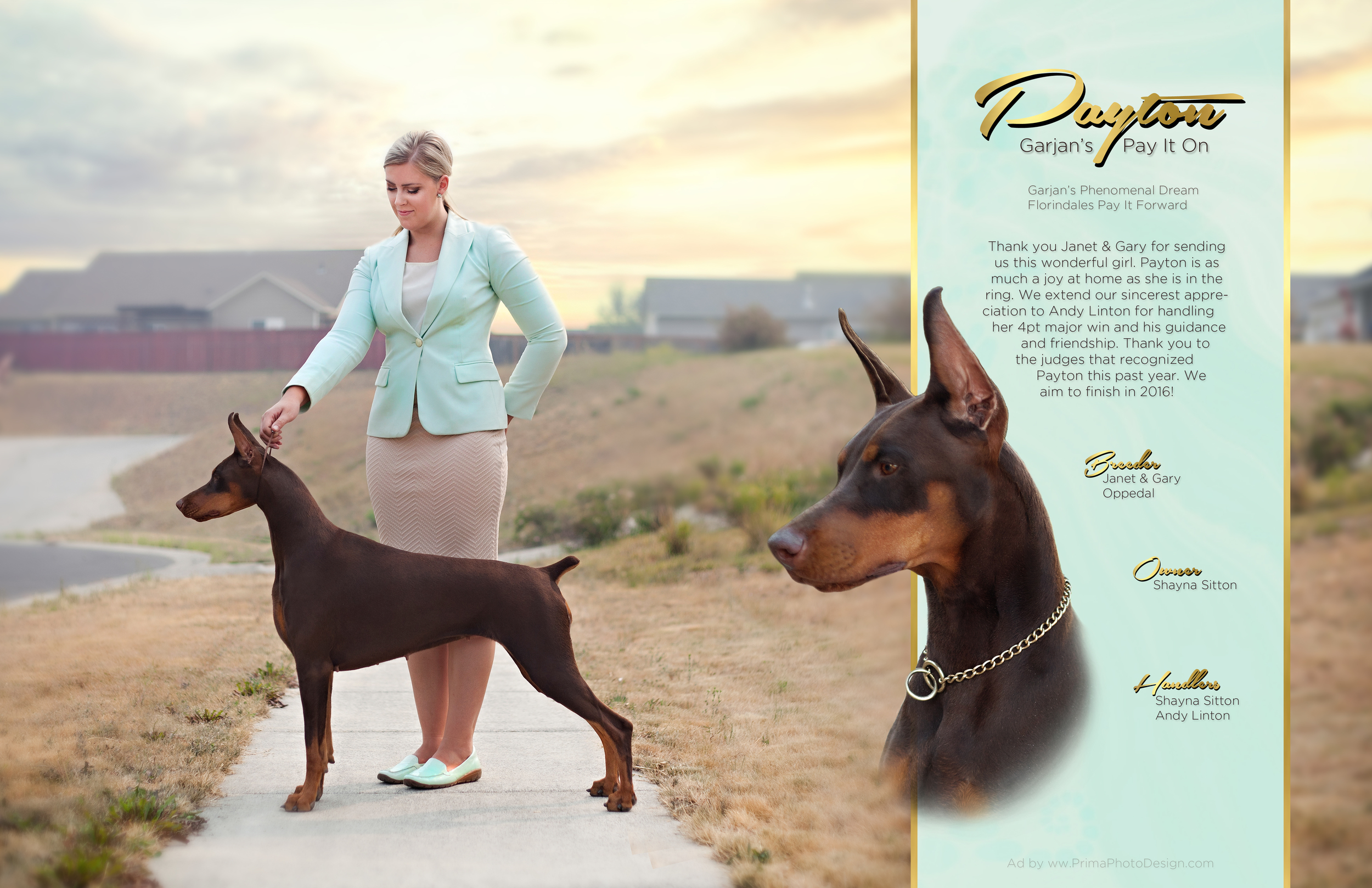 Females — PRIMA Dobermans