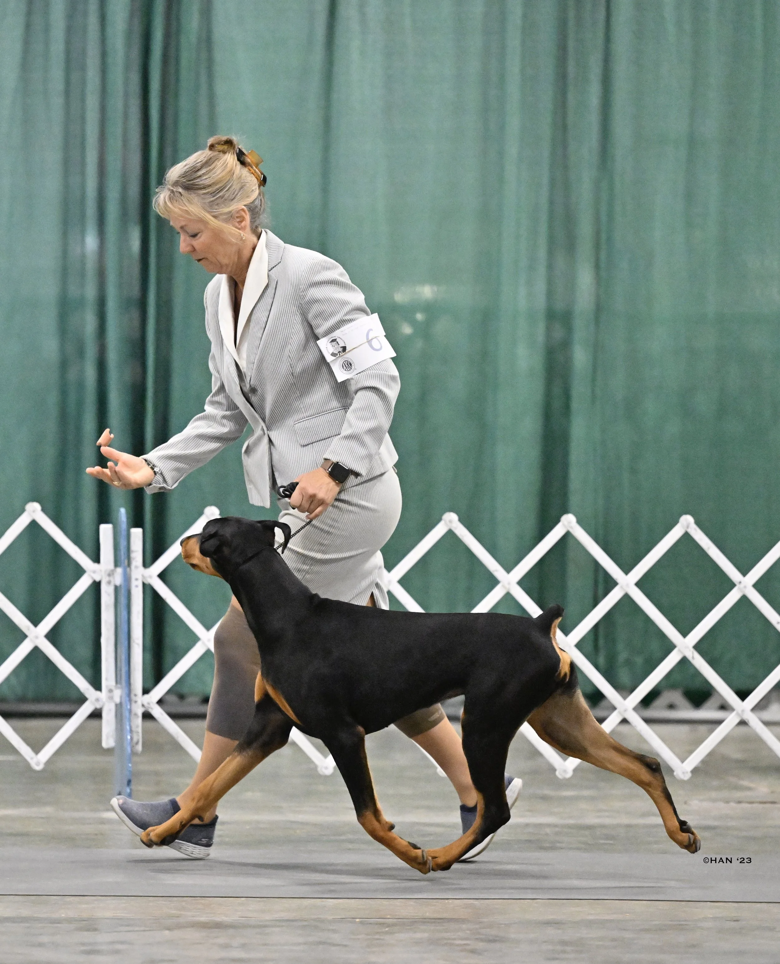 Doberman Simmons1.JPG
