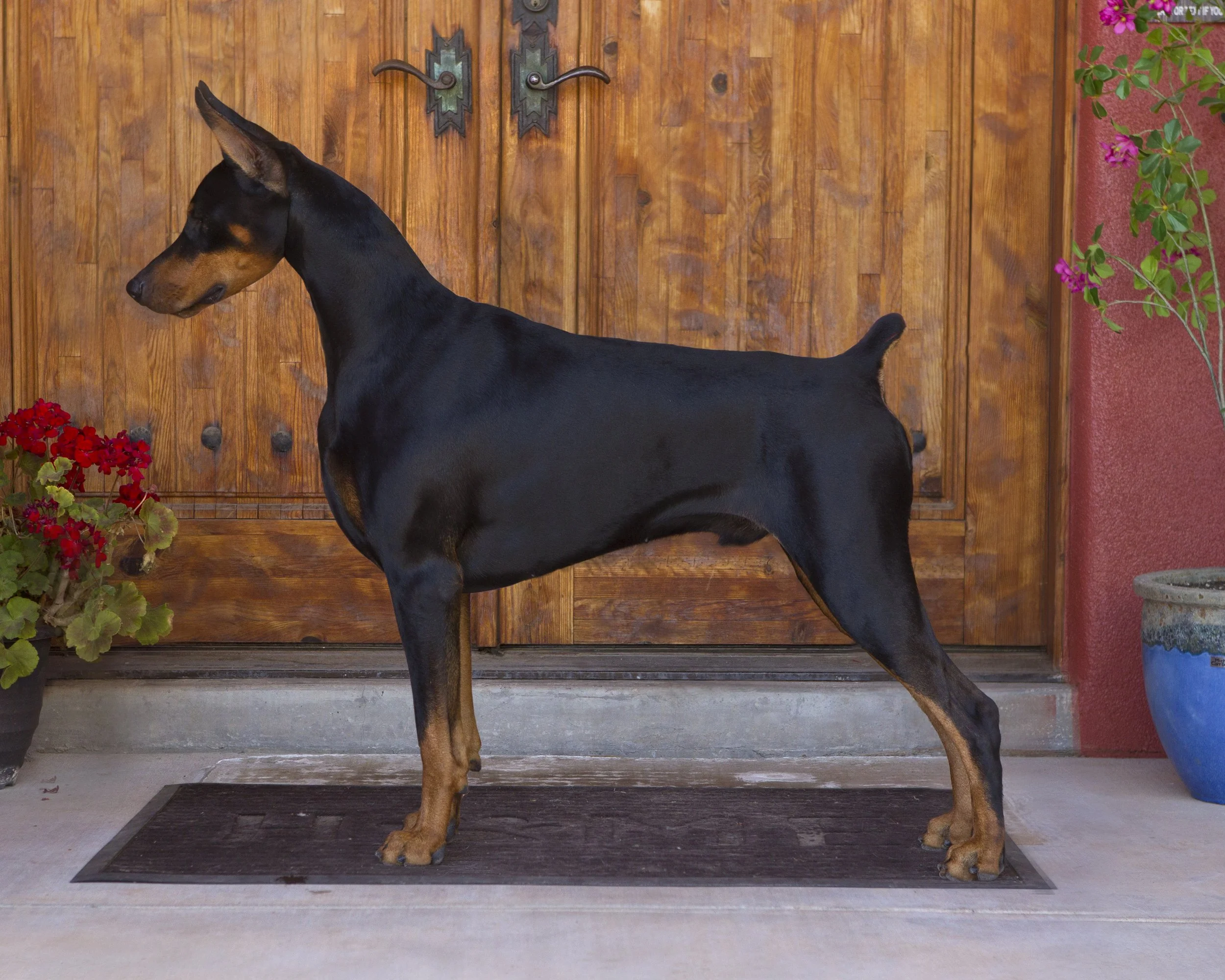 JTP10419adjustedcropped (1).jpg