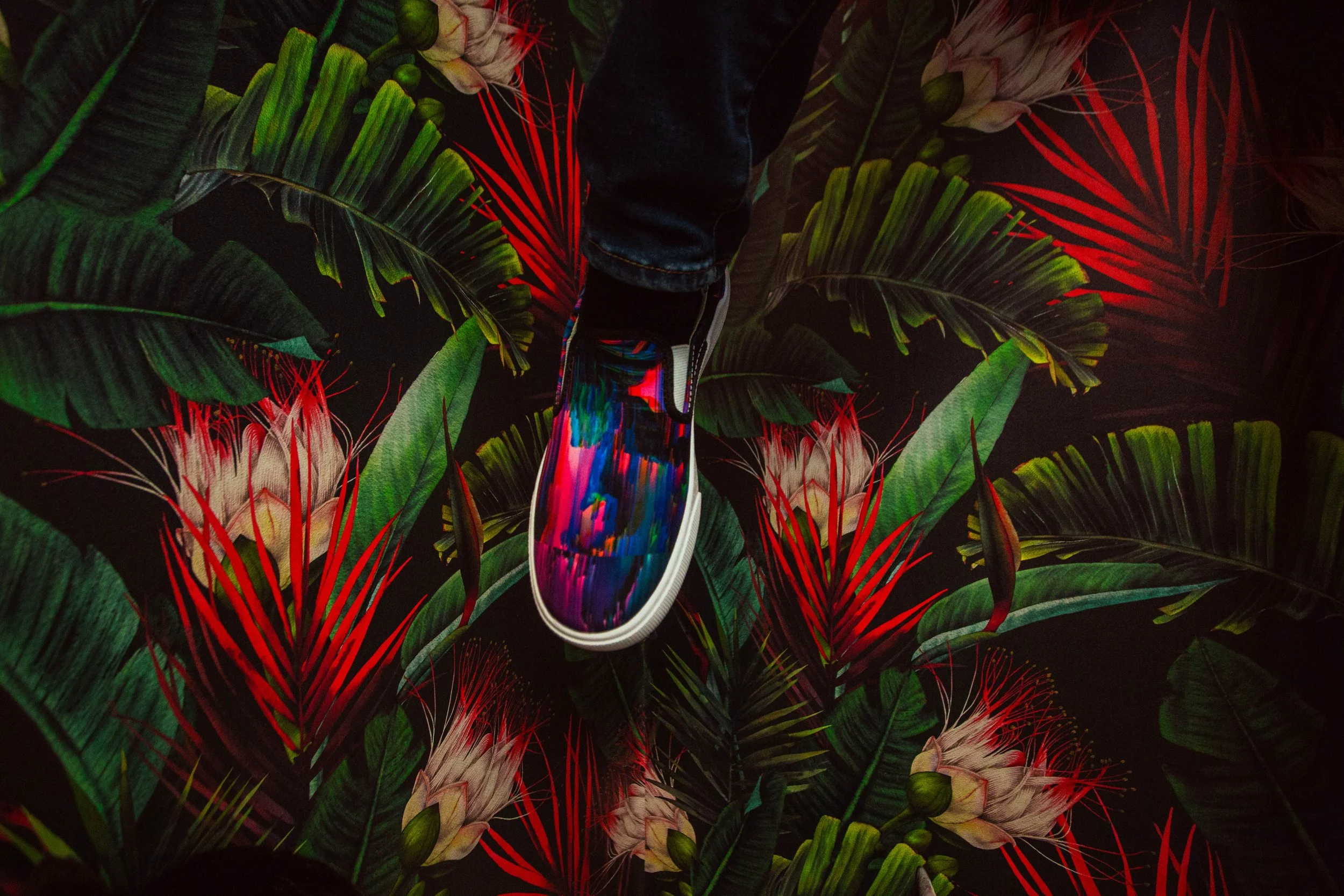2B8A0784-2.jpg