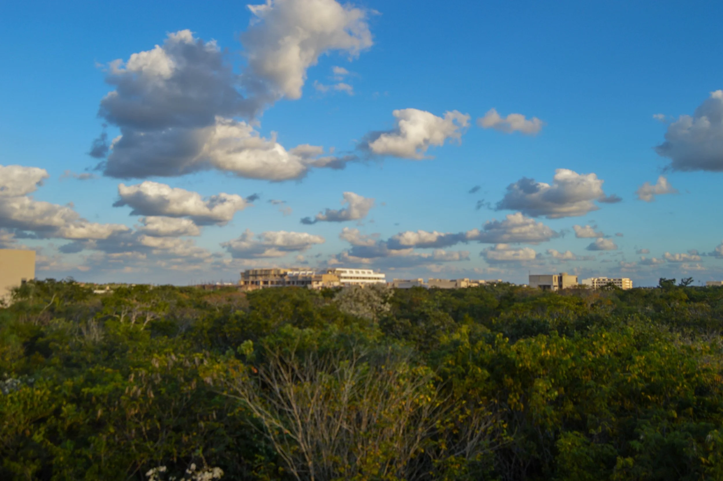 DSC_0422.jpg