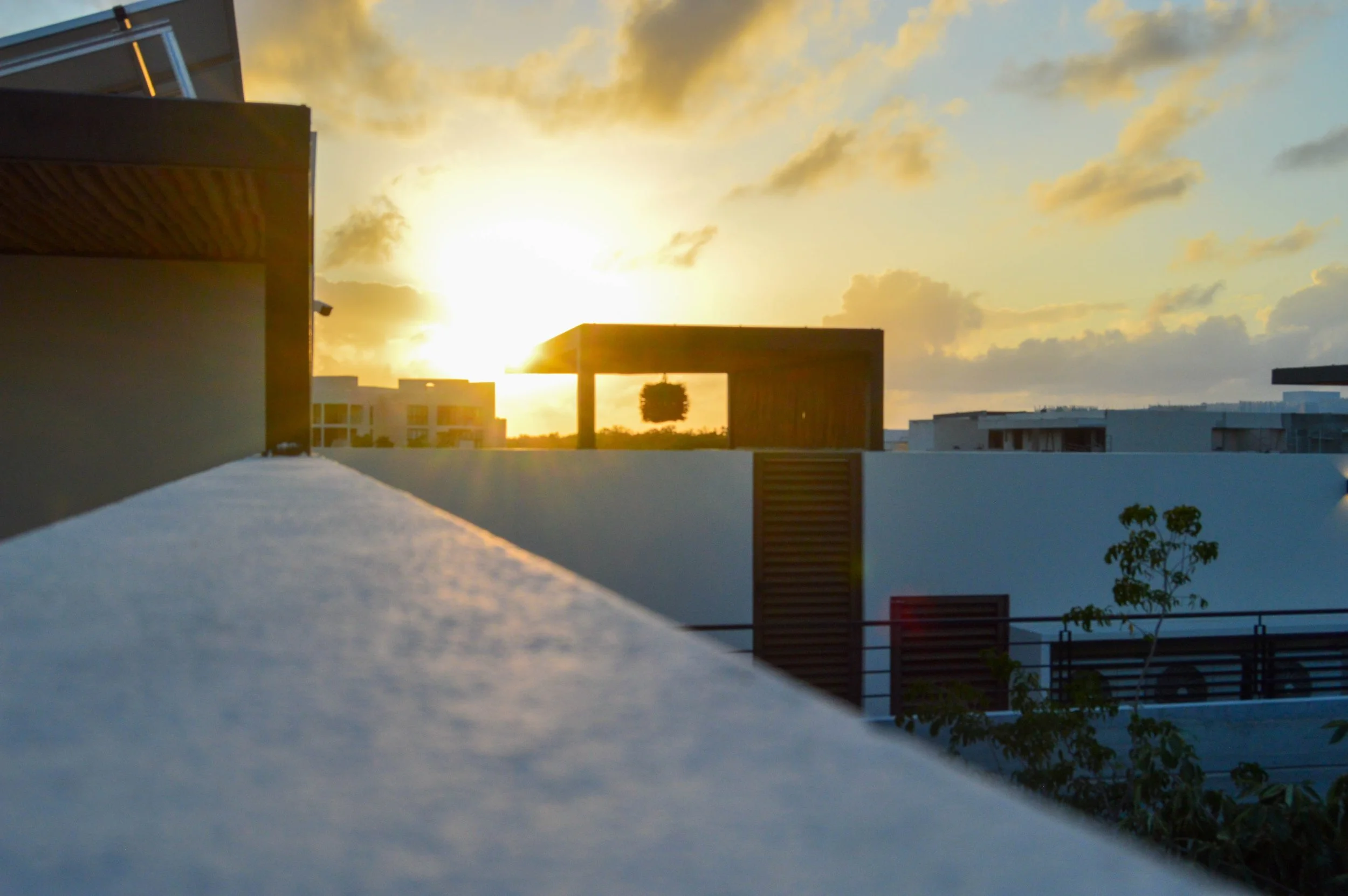 DSC_0446.jpg
