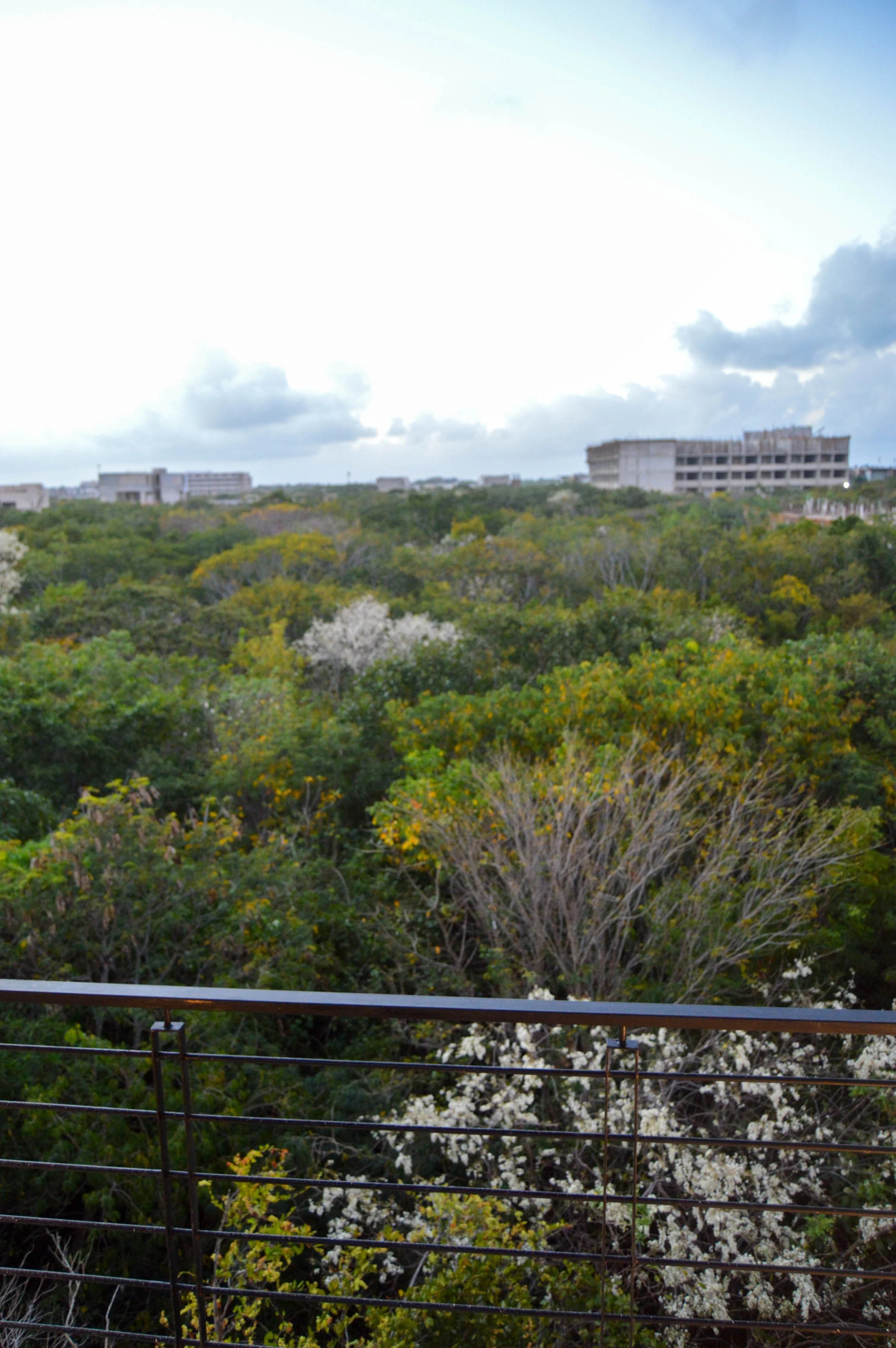 DSC_0466.jpg