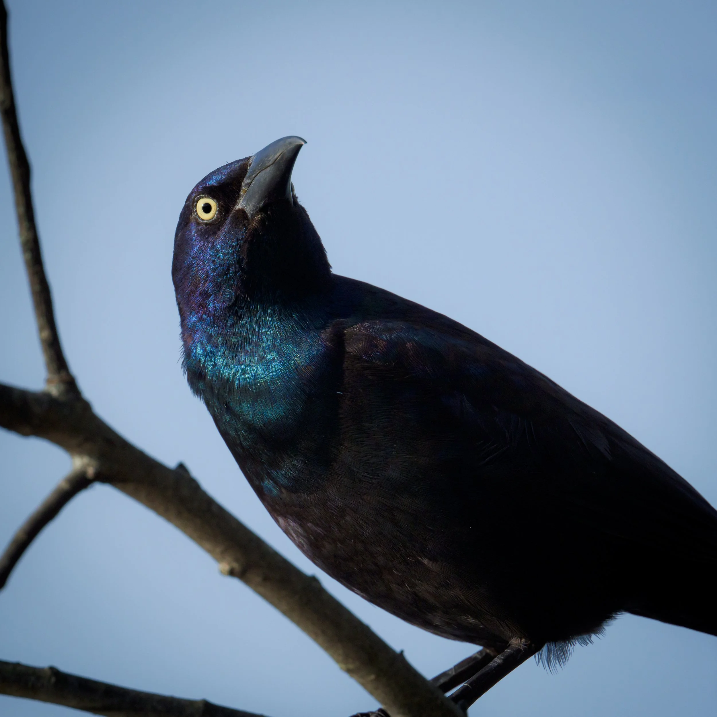 DSC_8074.JPG