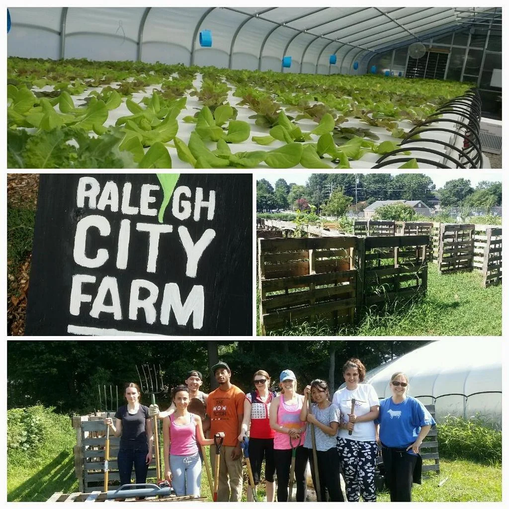 GLP at the farm.jpg