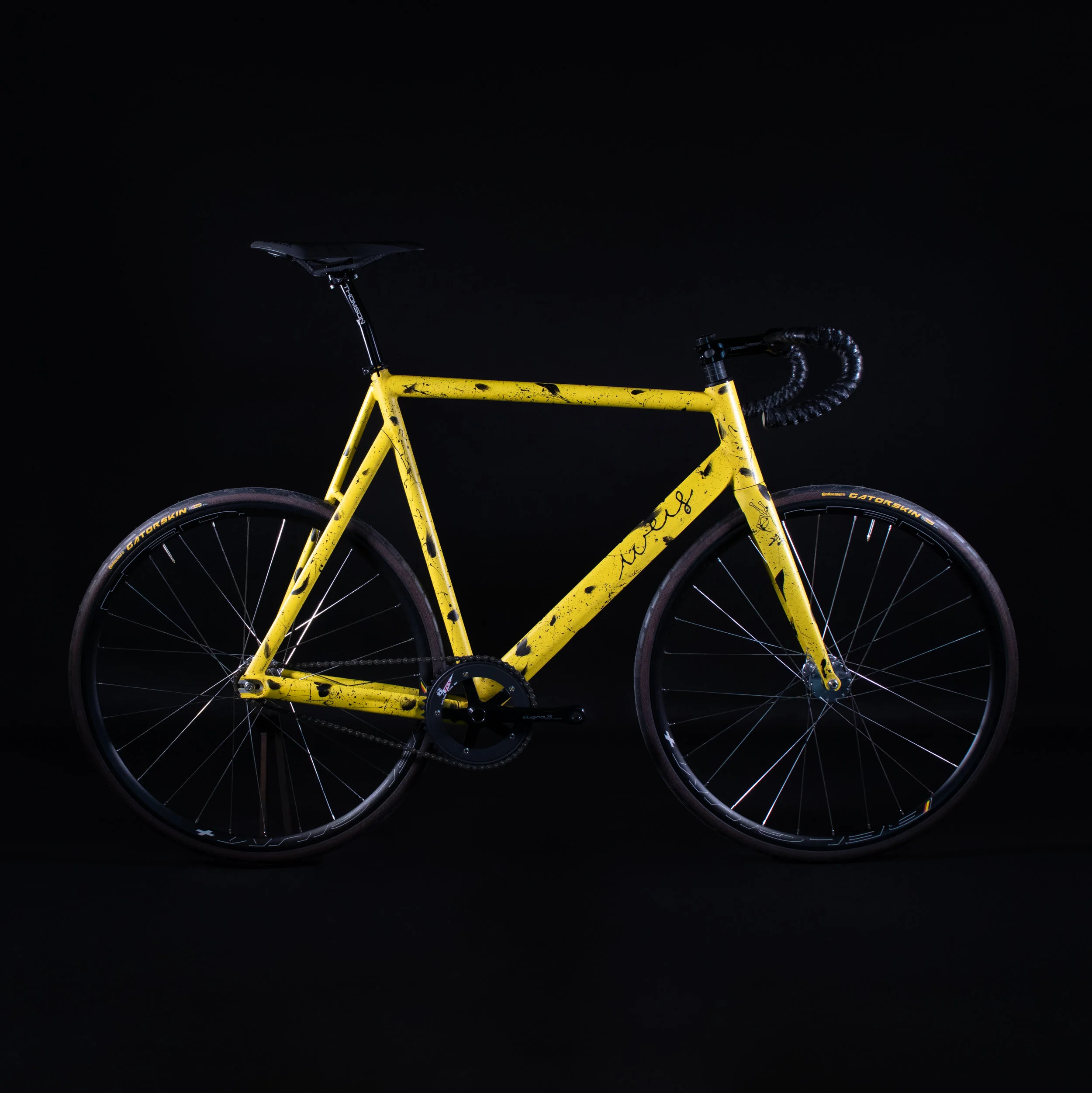 Weis_12_10-3202-Edit2.jpg