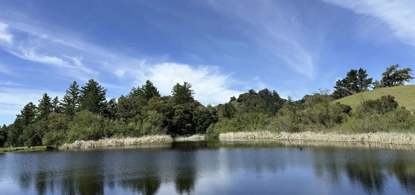 Hike: Old Page Mill Trail and David C. Daniels Nature Center