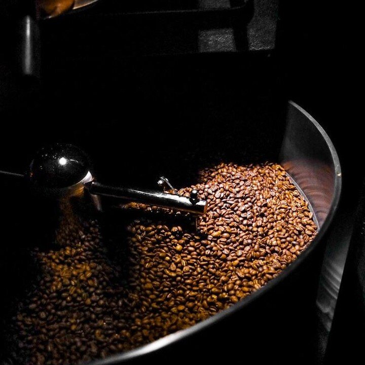 Roast day 😍

#theblessedbean #coffeeroasters #coffee #beans #probat #specialtycoffee #coffeelover #caffieneaddict #wholesale