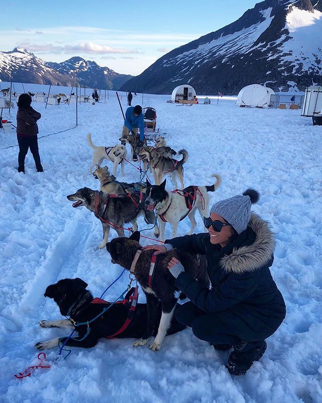 Being pulled by a sled of Alaskan huskies. Not my worst day. 🐺 #triedtostealone #almostworked #alaska