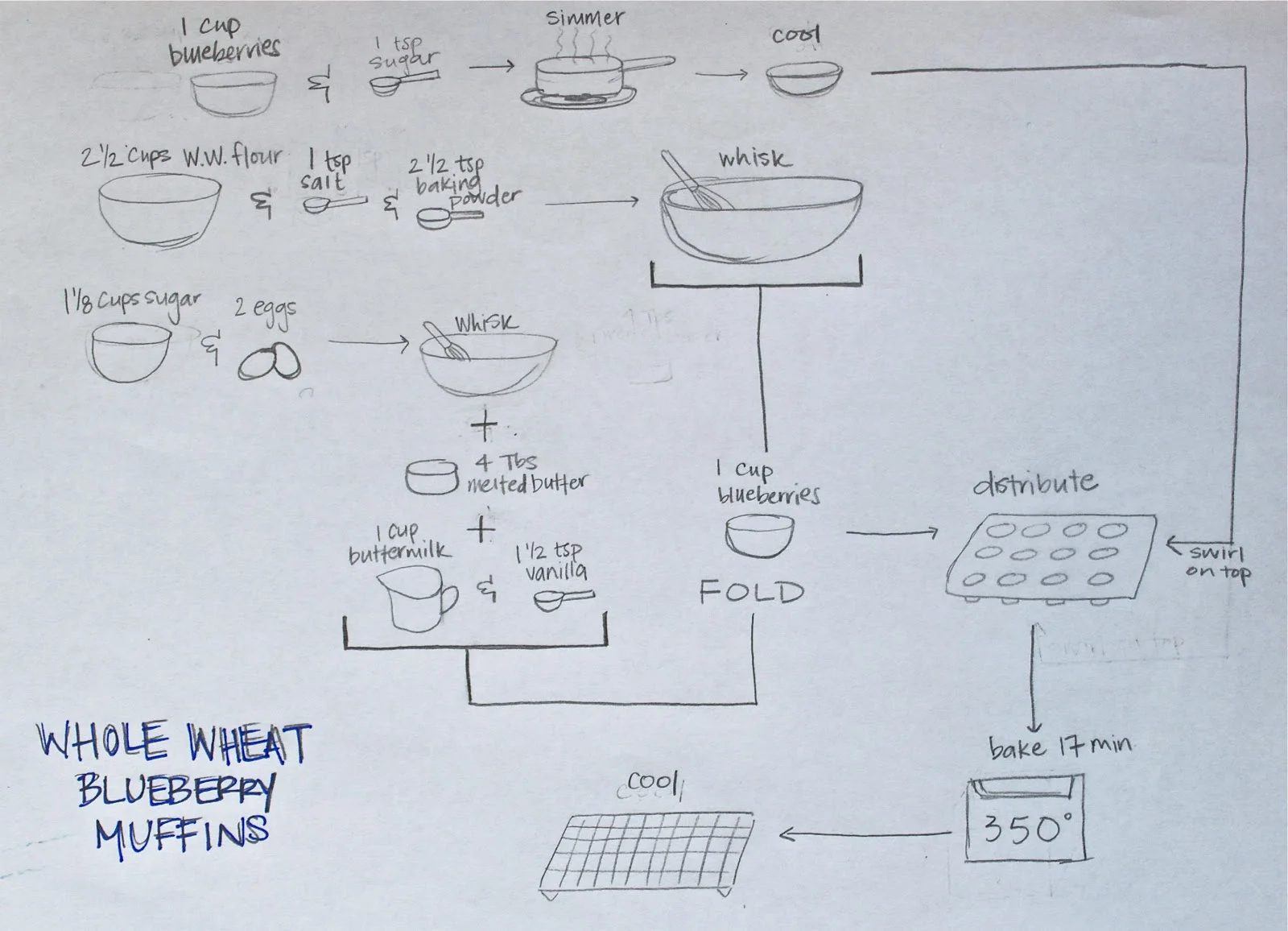 blueberrymuffin.diagram.jpg