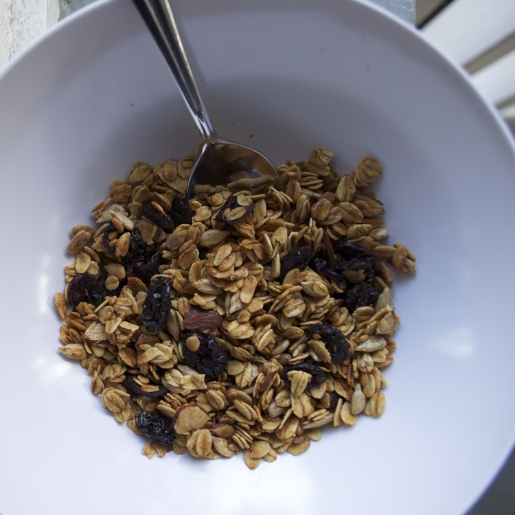 The Wild Hair and Homemade Granola