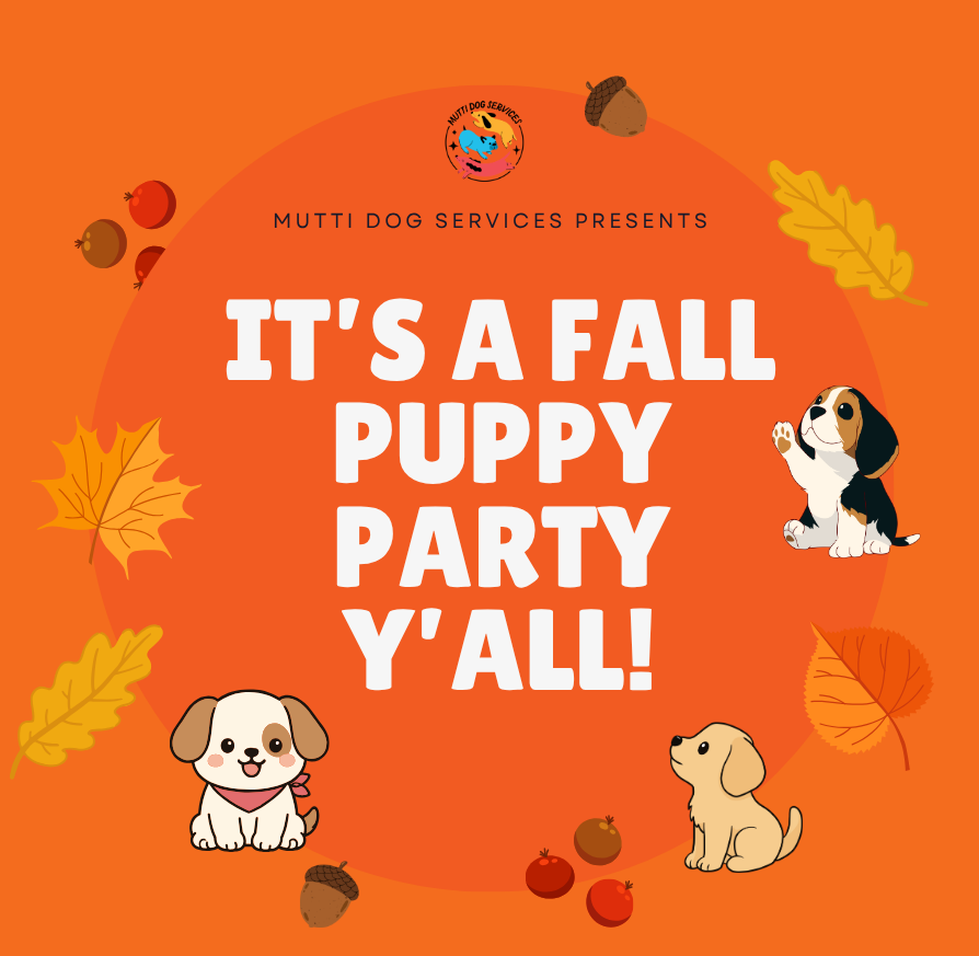 Fall Puppy Party