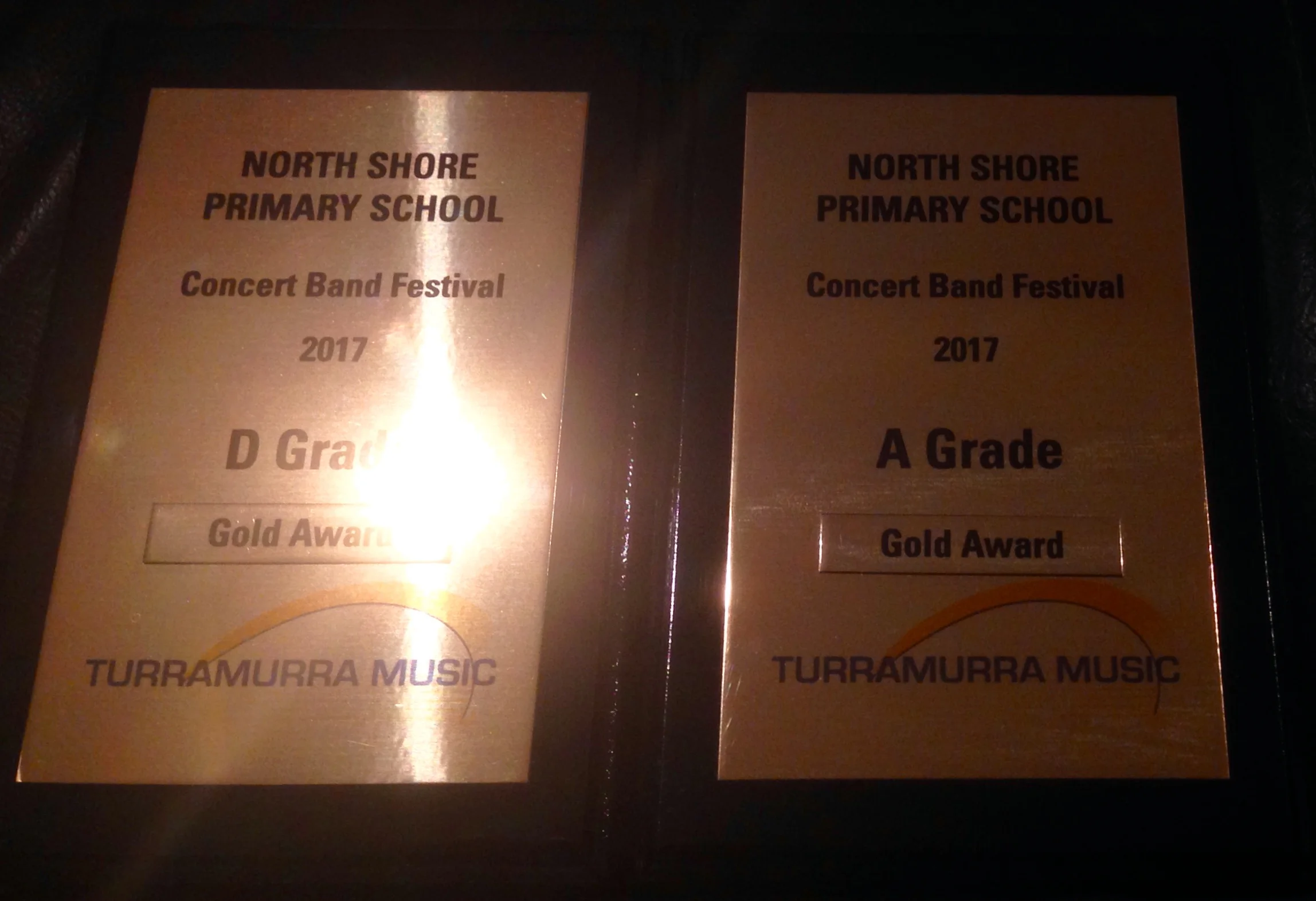 Gold Awards.jpg