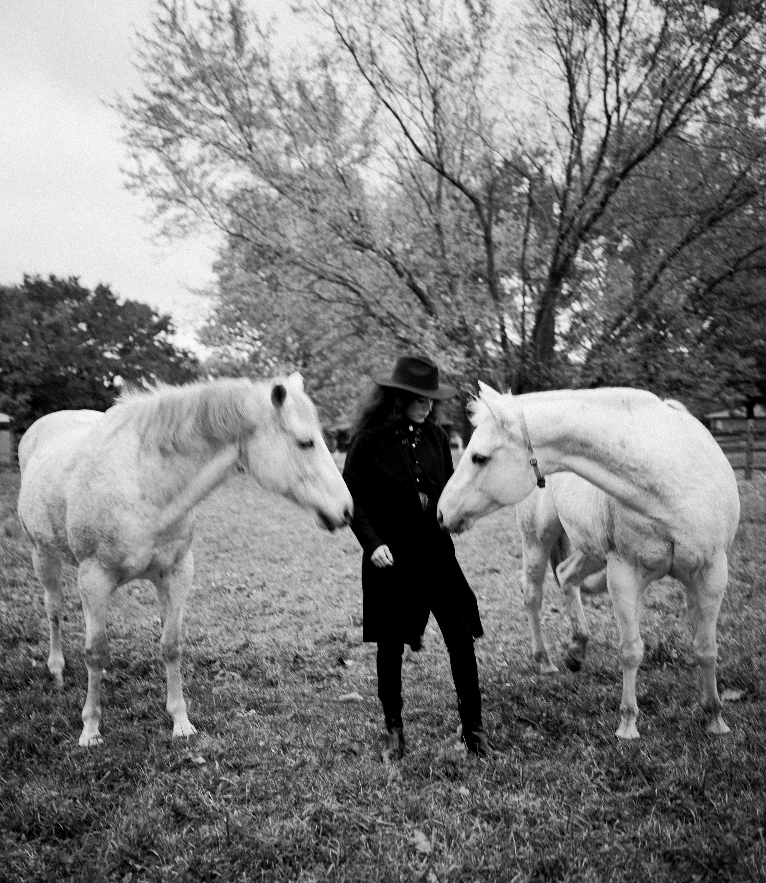 Two cowgirls standing among white horses